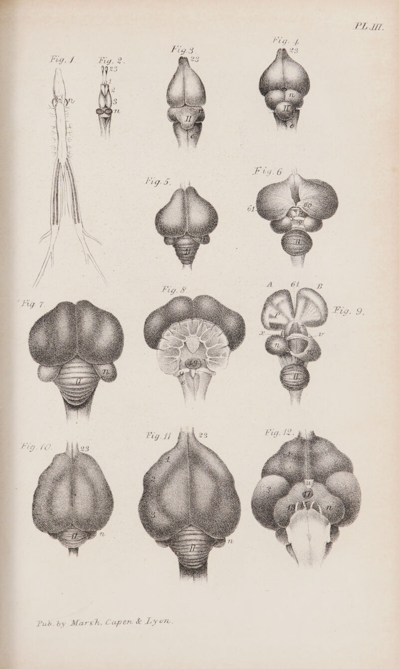 Fe Pub. by Marsh, Capen &amp; Lyon.