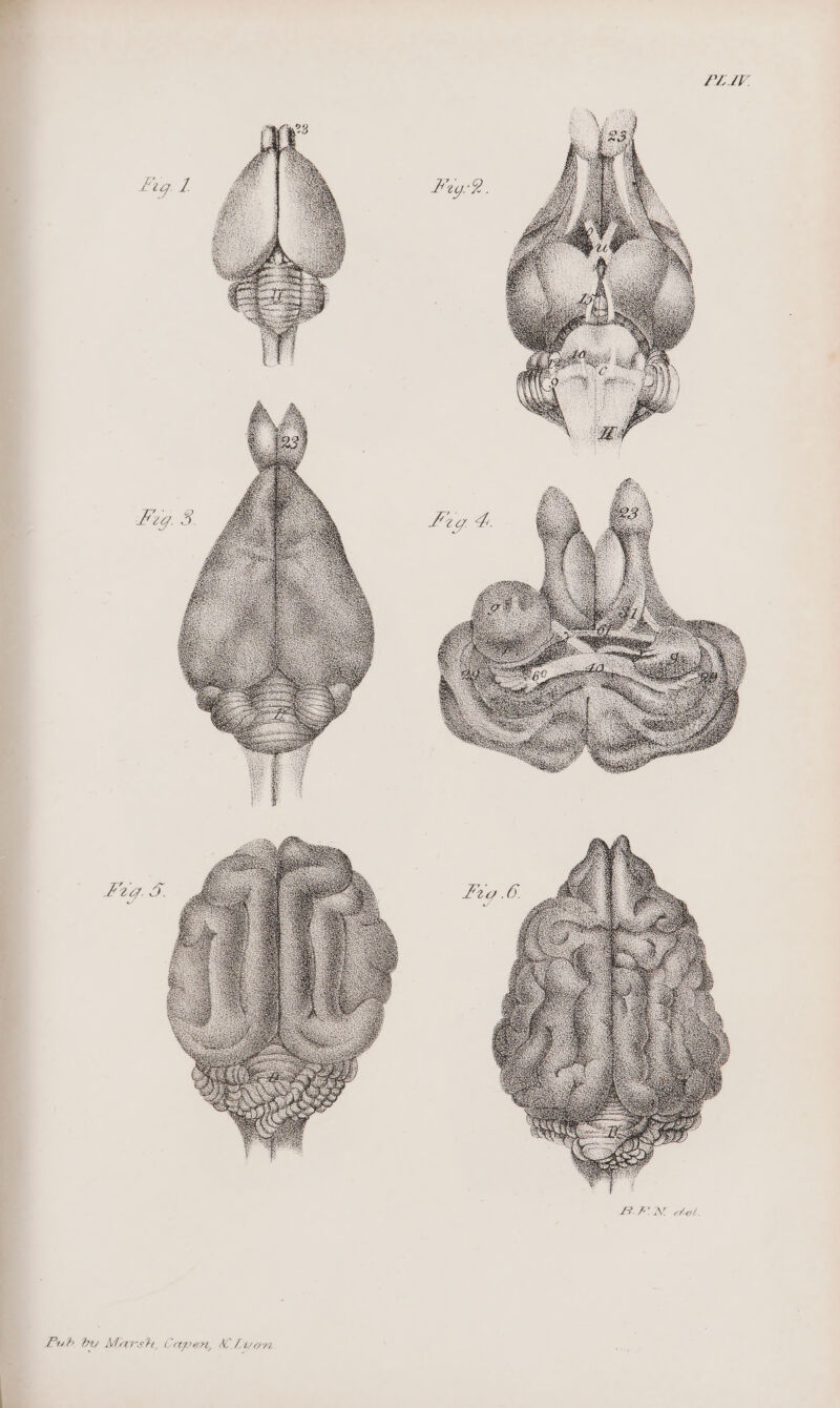 PLAV. Pub by Marsh, Capen, K'Lucn