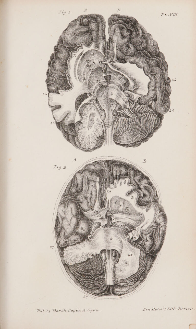 s Lith, Bostüori: / Pendleton &amp; Lyon ap en À À, C Pub,.by Mars