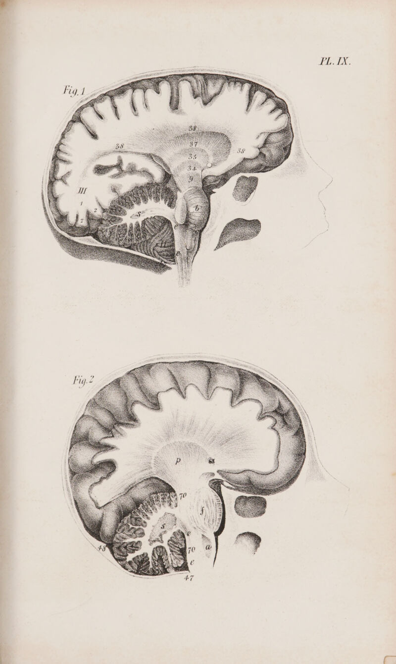 PIX, J À Ai EE SEA \ \ EE