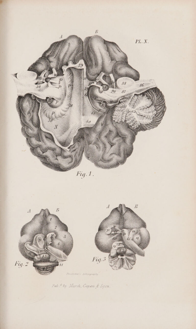 4 / z fre € LEV 7 4 ? { wer. À Ga Ars T LC A Z (74 Py ly a L