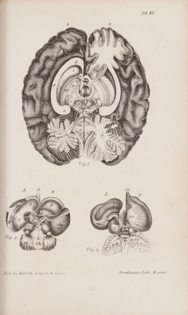 VY OT A, Capen &amp; Oy Mars 4 Pub