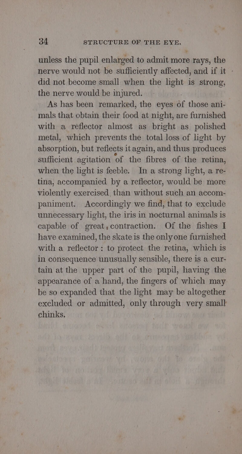 ¥ unless the pupil enlarged to admit more rays, the nerve would not be sufficiently affected, and if it - did not become small when the light is strong, the nerve would be injured. As has been remarked, the eyes of those ani- mals that obtain their food at night, are furnished with a reflector almost as bright as polished metal, which prevents the total loss of light by absorption, but reflects it again, and thus pr oduces sufficient agitation of the fibres of the retina, when the light is feeble. In a strong light, a re- tina, accompanied by a reflector, would be more violently exercised, than without such an accom- paniment. Accordingly we find, that to exclude unnecessary light, the iris in nocturnal animals is capable of great,contraction. Of the fishes I have examined, the skate is the only one furnished with a reflector : to protect the retina, which is in consequence unusually sensible, there is a cur- tain at the upper part of the pupil, having the appearance of a hand, the fingers of which may be so expanded that the light may be altogether excluded or admitted, only through very small chinks,