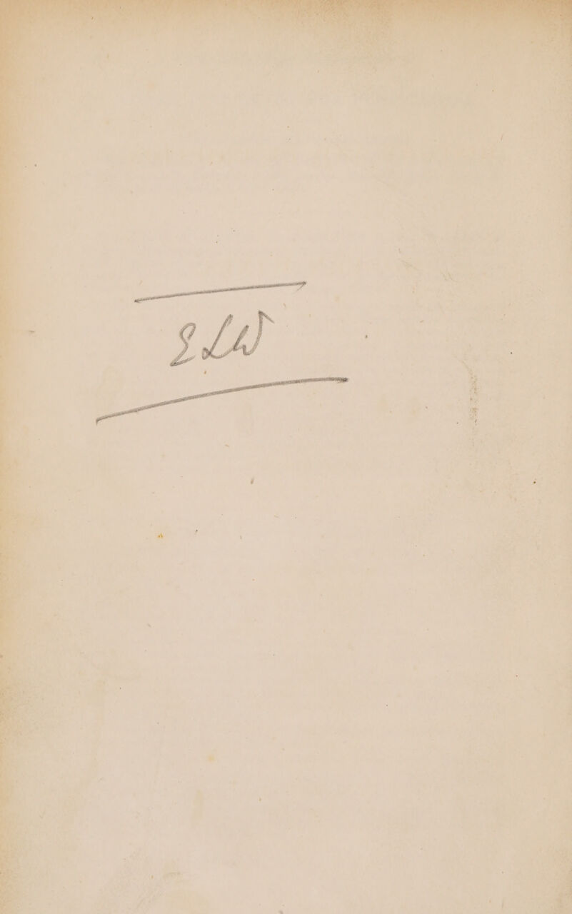 ~ . nate io a a ee : Eo a % rary a gs dae ; » aera iar - ‘ . al . ¥ ee . he ; ~ $a; r ~ - ' _ . 4 = * &amp;s 7 7 as i = % < “Ss bs = ‘tm _* Sy ; | ’ = ’ . ae Me at ‘ a ak. ; - > ‘ ée eee =e ‘ ; Rn Tee : . » @ * A J - ny ron ve rs r.