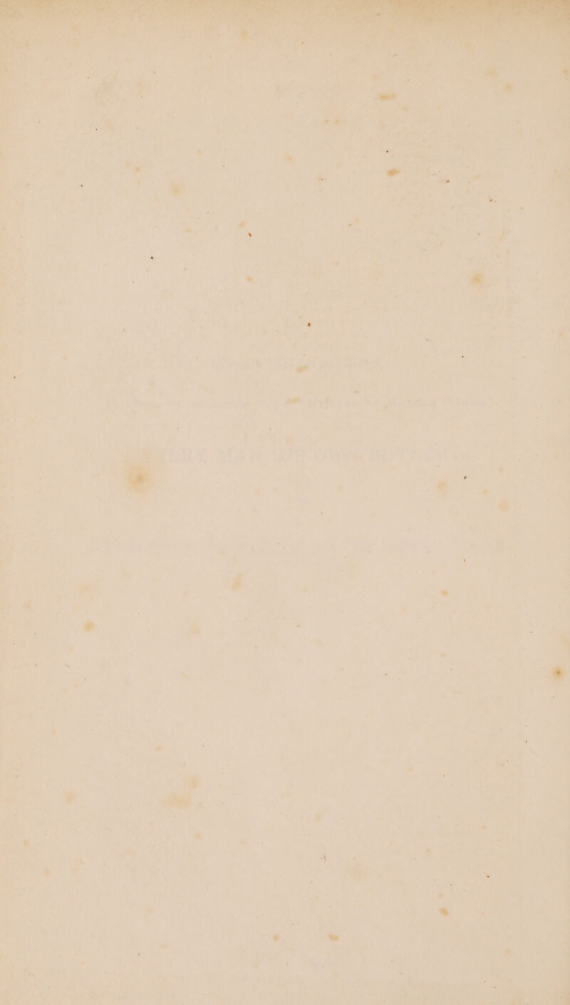 Wao, ol — Pye 7 mn, Fe pare a Os ii . Patan a, tr 7 *. ‘ L. . ae > » a i) é ] € fas: | a}. ‘on : ‘ a a7 ee “ar ar * 7 . rf >=, at q prea Cet Andee Fea Fe SARs RR Aenea ise f i a aw An é i » Ai - J wer | 7 she ; hd : J > ; et; .— othe Th a ris ; iS Paks ee <i Jaehine he ? ne FH y ra fs ; - be | <n 18 Dive BG) TRit Ger é ; . ! can ‘, : = - eZ aa woke 70 ae oe 7 Bo a3 1 > ; : 7 v By ee Ape Are