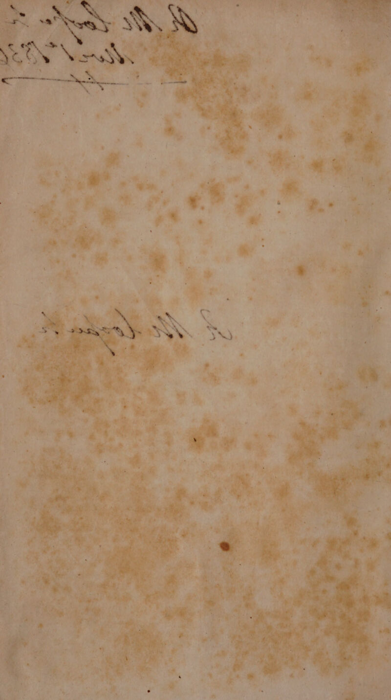 1 Acme Wy, BN YOON Nn . -- osomvegtt = 1 - : te, oe . - » \ aN ; ~ ) Sats SY. ~) ee. »