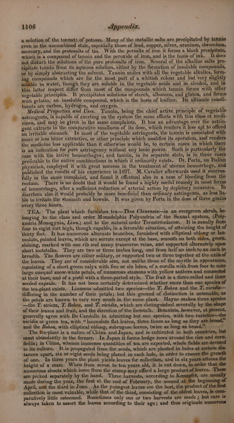 $ a solution of the tannate of potassa. Many of the metallic salts are precipitated by taiihin even in the uncombined state, especially those of lead, copper, silver, uranium, chromium, mercury, and the protosalts of tin. With the persalts of iron it forms a black precipitate, which is a compound of tannin and the peroxide of iron, and is the basis of ink. It does not disturb the solutions of’ the pure protosalts of iron. Several of the alkaline salts pre- or by simply abstracting the solvent. ‘Tannin unites with all the vegetable alkalies, form- ing compounds which are: for the most part of a whitish colour and but very slightly soluble in water, though they are soluble in the vegetable acids and in alcohol, and in this latter respect differ from most of the compounds which tannin forms with other vegetable principles. It precipitates solutions of starch, albumen, and gluten, and forms: tuents are carbon, hydrogen, and oxygen. “ : Medical Properties and Uses. ‘Tannin, being the chief active principle of vegetable astringents, is capable of exerting on the system the same effects with this class ot medi- cines, and may be given. in the same complaints. It has an advantage over the astrin- gent extracts in the comparative smallness of its dose, which renders it less apt to offend an irritable stomach. In most of the vegetable astringents, the tannin is associated with more or less bitter extractive, or other principle which modifies its operation, and renders the medicine less applicable than it otherwise would be, to certain cases in which there is an indication for pure astringency without any tonic power. Such is particularly the case with the active hemorrhages; and tannin, in its separate state, is in these cases preferable to the native combinations in which it ordinarily exists. Dr. Porta, an Italian physician, employed it with great success in the treatment of uterine hemorrhage, and published the results of his experience in 1827. M. Cavalier afterwards used it success- fully in the same complaint, and found it effectual also in a case of bleeding from the rectum. ‘There is no doubt that it would be found a highly, useful remedy in most forms of hemorrhage, after a sufficient reduction of arterial action by depletory measures, _ In diarrhea also it would probably be more beneficial than ordinary astringents, as less lia- ble to irritate the stomach and bowels. It was given by Porta in the dose of three grains every three hours, ‘ ‘lifes TEA. The plant which furnishes tea—Thea Chinensis—is an evergreen shrub, be- longing to the class and order Monadelphia Polyandria of the Sexual system, (Poly- andria Monogynia, Linn.) and to the natural order Ternstrémiacee. It is usually from four to eight tect high, though capable, in a favorable situation, of attaining the height of ceolate, pointed leaves, which are serrate except at the base, smooth on both sides, greea, shining, marked with one rib and many transverse veins, and supported alternately upon short tootstalks. ‘They are two or three inches long, and from half an inch to-.an inch in breadth. ‘The flowers are either solitary, or supported two or three together-at the axils of consisting of a short green calyx with five or six lobes, of a corolla with from four to nine large unequal snow-white petals, of numerous stamens with yellow anthers and connected at their base, and of a pistil with a three-parted style. The fruit is a three-celled'and three seeded capsule. It has not been certainly determined whether more than one species of the tea-plant exists. Linneus'admitted two species—the T, Bohea and the T. viridis— differing in the number of their petals; but this ground of distinction is untenable, as the petals are known to vary very much in the same plant. Hayne makes three species —the T° stricta, T. Bohea, and T\ viridis, which are distinguished severally by the shape of their leaves and fruit, and the direction of the footstalk. Botanists, however, at present, viridis or green tea, with “lanceolate flat leaves, three times as long as they are-broad,” and the Bohea, with elliptical oblong, subrugose leaves, twice as long as broad.” The tea-plant is a native of China. and Japan, and is cultivated in both countries, but most abundantly in the former. In Japan it forms hedge rows around the rice and corn- fields; in China, whence immense quantitics of tea are exported, whole fields are devoted to its culture. It is propagated from the seeds, which are planted in holes at certain dis- tances apart, six or eight seeds being placed in each hole, in order to ensure the growth | of one. In three years the plant yields leaves for collection, and in six years attains the height of a man. When from seven to ten years old, it is cut down, inorder that the numerous shoots which issue from the stump may afford a large product of leaves. These are picked separately by the hand. Three harvests, according to Kempfer, are usually made during the year, the first at the end of February, the second at the beginning of April, and the third in June. As the youngest leaves are the best, the product of the first collection is most valuable, while that of the third, consisting of the oldest leaves, is com- paratively little esteemed. Sometimes only one or two harvests are made ; but care is always taken to assort the leaves according to their age; and thus originate numerous