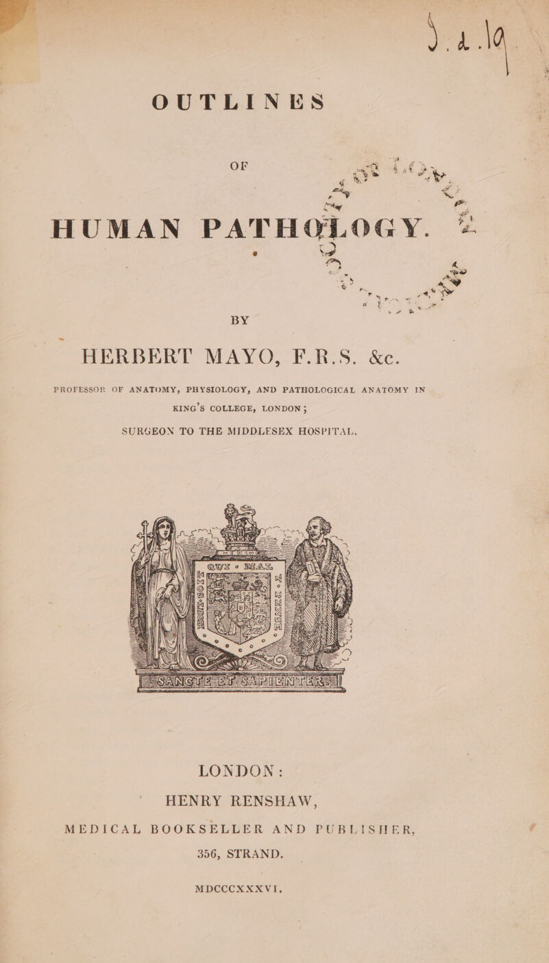 ve (yt OR, ay &lt; oy : a 5 a ms Pai HUMAN PATHOLOGY. ‘b- | % - 4 “es ne i gt ere ae BY Scie HERBERT MAYO, F.R.S. &amp;c. PROFESSOR OF ANATOMY, PHYSIOLOGY, AND PATHOLOGICAL ANATOMY IN KING'S COLLEGE, LONDON} SURGEON TO THE MIDDLESEX HOSPITAL. LONDON: HENRY RENSHAW, MEDICAL BOOKSELLER AND PUBL SEE R; 396, STRAND. MDCCCXXXVI,