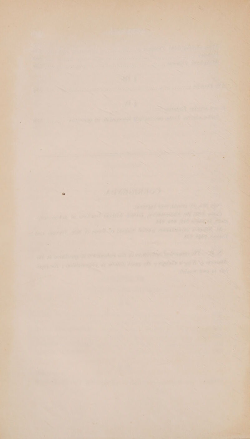 ri pests 7, 6006 aie Sie A TRE ee 6 200 00? aR FOR. iy eepaag itary se ts eo AY Dapp Slt ie 4 a : = ' et Nt) evelyn) ty 2S sar y\ .