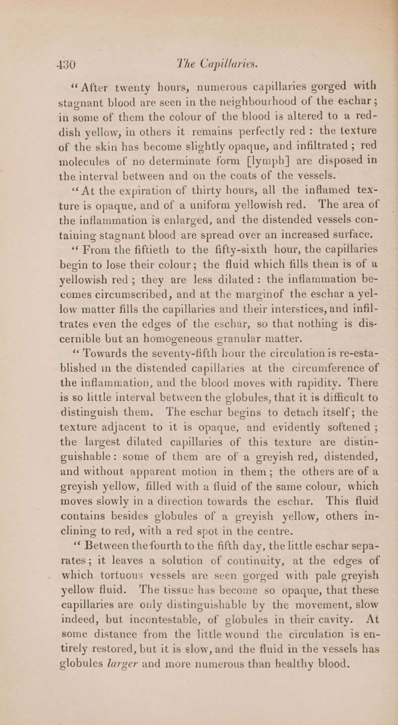 “ After twenty hours, numerous capillaries gorged with stagnant blood are seen in the neighbourhood of the eschar ; in some of them the colour of the blood is altered to a red- dish yellow, in others it remains perfectly red: the texture of the skin has become slightly opaque, and infiltrated ; red molecules of no determinate form [lymph] are disposed in the interval between and on the coats of the vessels. ‘¢ At the expiration of thirty hours, all the inflamed tex- ture is opaque, and of a uniform yellowish red. The area of the inflammation is enlarged, and the distended vessels con- taining stagnant blood are spread: over an increased surface. ‘From the fiftieth to the fifty-sixth hour, the capillaries begin to lose their colour; the fluid which fills them is of a yellowish red ; they are less dilated: the inflammation be- comes circumscribed, and at the marginof the eschar a yel- low matter fills the capillaries and their interstices, and infil- trates even the edges of the eschar, so that nothing is dis- cernible but an homogeneous granular matter. “Towards the seventy-fifth hour the circulation is re-esta- blished in the distended capillaries at the circumference of the inflammation, and the blood moves with rapidity. There is so little interval between the globules, that it 1s difficult to distinguish them. The eschar begins to detach itself; the texture adjacent to it is opaque, and evidently softened ; the largest dilated capillaries of this texture are distin- guishable: some of them are of a greyish red, distended, and without apparent motion in them; the others are of a greyish yellow, filled with a fluid of the same colour, which moves slowly in a direction towards the eschar. This fluid contains besides globules of a greyish yellow, others in- clining to red, with a red spot in the centre. ‘* Between the fourth to the fifth day, the little eschar sepa- rates; it leaves a solution of continuity, at the edges of which tortuous vessels are seen gorged with pale greyish yellow fluid. The tissue has become so opaque, that these capillaries are only distinguishable by the movement, slow indeed, but incontestable, of globules in their cavity. At some distance from the little wound the circulation is en- tirely restored, but it is slow, and the fluid in the vessels has globules dayger and more numerous than healthy blood.