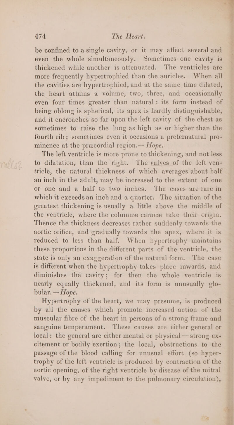 be confined to a single cavity, or it may affect several and even the whole simultaneously. Sometimes one cavity is thickened while another is attenuated. The ventricles are more frequently hypertrophied than the auricles. When all the cavities are hypertrophied, and at the same time dilated, the heart attains a volume, two, three, and occasionally even four times greater than natural: its form instead of being oblong is spherical, its apex is hardly distinguishable, and it encroaches so far upon the left cavity of the chest as sometimes to raise the lung as high as or higher than the fourth rib; sometimes even it occasions a preternatural pro- minence at the precordial region.— Hope. The left ventricle is more prone to thickening, and not less to dilatation, than the right. The valves of the left ven- tricle, the natural thickness of which averages about half an inch in the adult, may be increased to the extent of one or one and a half to two inches. The cases are rare in which it exceeds an inch and a quarter. The situation of the greatest thickening is usually a little above the middle of the ventricle, where the columne carnee take their origin. Thence the thickness decreases rather suddenly towards the aortic orifice, and gradually towards the apex, where it is reduced to less than half. When hypertrophy maintains these proportions in the different parts of the ventricle, the state is only an exaggeration of the natural form. The case is different when the hypertrophy takes place inwards, and diminishes the cavity; for then the whole ventricle is nearly equally thickened, and its form is unusually glo- bular. — Hope. Hypertrophy of the heart, we may presume, is produced by all the causes which promote increased action of the muscular fibre of the heart in persons of a strong frame and sanguine temperament. These causes are either general or local: the general are either mental or physical — strong ex- citement or bodily exertion; the local, obstructions to the passage of the blood calling for unusual effort (so hyper- trophy of the left ventricle is produced by contraction of the aortic opening, of the right ventricle by disease of the mitral valve, or by any impediment to the pulmonary circulation),