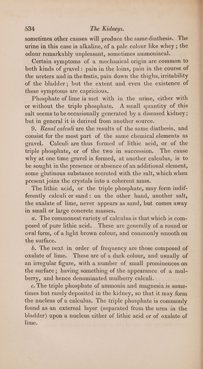 sometimes other causes will produce the same diathesis. The urine in this case is alkaline, of a pale colour like whey ; the odour remarkably unpleasant, sometimes ammoniacal. Certain symptoms of a mechanical origin are common to both kinds of gravel: pain in the loins, pain in the course of the ureters and in the testis, pain down the thighs, irritability of the bladder; but the extent and even the existence of these symptoms are capricious. Phosphate of lime is met with in the urine, either with or without the triple phosphate. A small quantity of this salt seems to be occasionally generated by a diseased kidney ; but in general it is derived from another source. 9. Renal calculi are the results of the same diathesis, and gravel. Calculi are thus formed of lithic acid, or of the triple phosphate, or of the two in succession. The cause why at one time gravel is formed, at another calculus, is to be sought in the presence or absence of an additional element, some glutinous substance secreted with the salt, which when present joins the crystals into a coherent mass. The lithic acid, or the triple phosphate, may form indif- ferently calculi or sand: on the other hand, another salt, the oxalate of lime, never appears as sand, but comes away in small or large concrete masses. a. The commonest variety of calculus is that which is com- posed of pure lithic acid. These are generally of a round or oval form, of a light brown colour, and commonly smooth on the surface. 6. The next in order of frequency are those composed of oxalate of lime. These are of a dark colour, and usually of an irregular figure, with a number of small prominences on the surface ; having something of the appearance of a mul- berry, and hence denominated mulberry calculi. c. The triple phosphate of ammonia and magnesia is some- times but rarely deposited in the kidney, so that it may form found as an external layer (separated from the urea in the bladder) upon a nucleus either of lithic acid or of oxalate of lime.