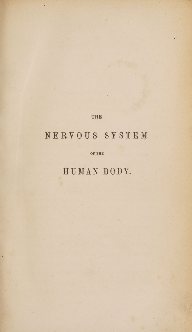 HUMAN BODY. ?