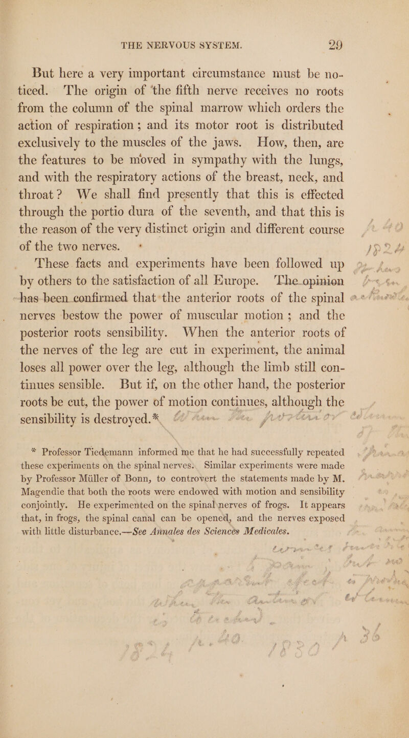 But here a very important circumstance must be no- ticed. The origin of ‘the fifth nerve receives no roots from the column of the spinal marrow which orders the action of respiration ; and its motor root is distributed exclusively to the muscles of the jaws. How, then, are and with the respiratory actions of the breast, neck, and throat? We shall find presently that this is effected through the portio dura of the seventh, and that this is the reason of the very distinct origin and different course of the two nerves. * These facts and experiments have been followed up by others to the satisfaction of all Europe. 'The_opinion nerves bestow the power of muscular motion ; and the posterior roots sensibility. When the anterior roots of the nerves of the leg are cut in experiment, the animal loses all power over the leg, although the limb still con- tinues sensible. But if, on the other hand, the posterior sensibility is destroyed.*, 4 Y Rta PS JAU POA LD Od y * Professor Tiedemann informed me that he had successfully repeated these experiments on the spinal nerves. Similar experiments were made by Professor Miller of Bonn, to controvert the statements made by M. Magendie that both the roots were endowed with motion and sensibility conjointly. He experimented on the spinalinerves of frogs. It appears that, in frogs, the spinal canal can be opened, and the nerves exposed with little disturbance.—See Annales des Sciences Medicales. # ¢?