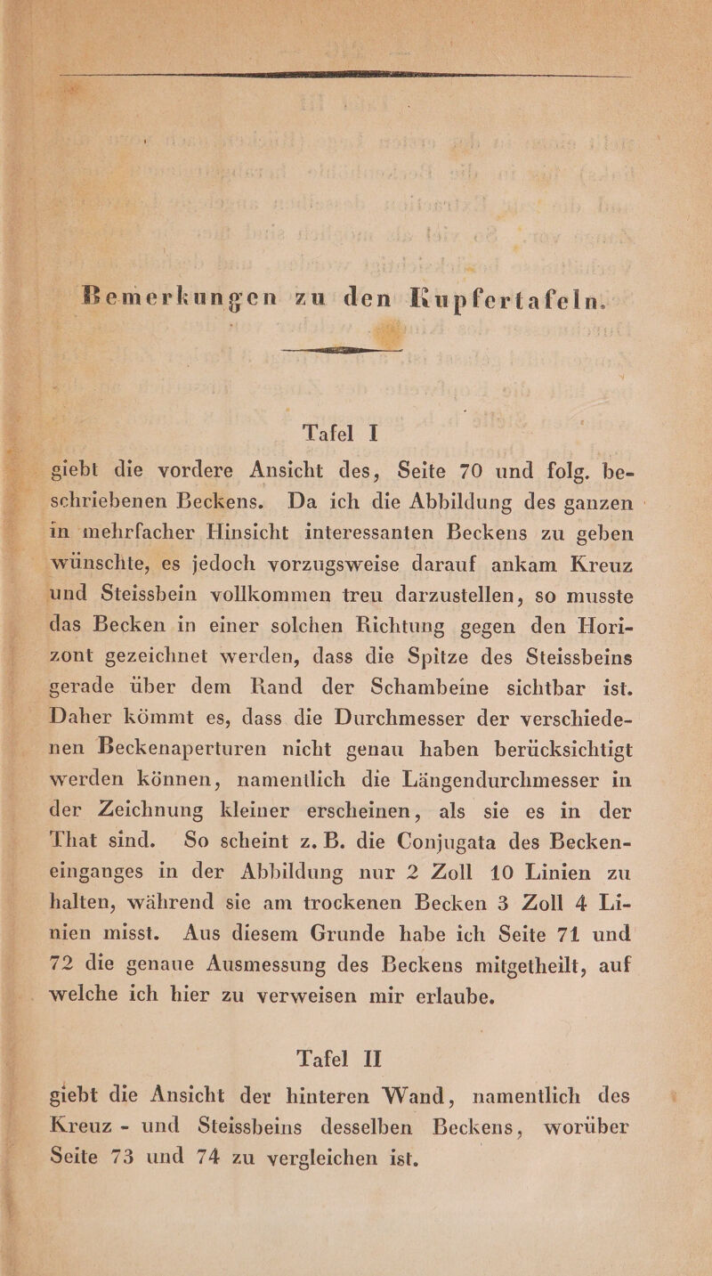 Bemerkungen zu den Rupfertafeln. Er u Tafel I _ schriebenen Beckens. Da ich die Abbildung des ganzen in mehrfacher Hinsicht interessanten Beckens zu geben &amp; ‚wünschte, es jedoch vorzugsweise darauf ankam Kreuz und Steissbein vollkommen treu darzustellen, so musste das Becken in einer solchen Richtung gegen den Hori- zont gezeichnet werden, dass die Spitze des Steissbeins gerade über dem Hand der Schambeine sichtbar ist. Daher kömmt es, dass die Durchmesser der verschiede- nen Beckenaperturen nicht genau haben berücksichtigt werden können, namentlich die Längendurchmesser in der Zeichnung kleiner erscheinen, als sie es in der That sind. So scheint z.B. die Conjugata des Becken- einganges in der Abbildung nur 2 Zoll 10 Linien zu halten, während sie am trockenen Becken 3 Zoll 4 Li- nien misst. Aus diesem Grunde habe ich Seite 71 und 72 die genaue Ausmessung des Beckens mitgetheilt, auf welche ich hier zu verweisen mir erlaube. Tafel II giebt die Ansicht der hinteren Wand, namentlich des Kreuz - und Steissbeins desselben Beckens, worüber Seite 73 und 74 zu vergleichen ist.