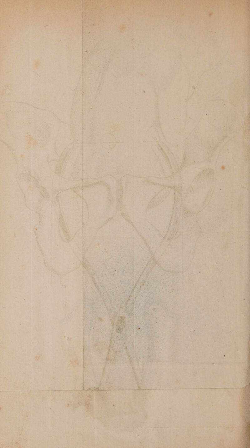 kab Zr au . a I a ES Va re a Eee