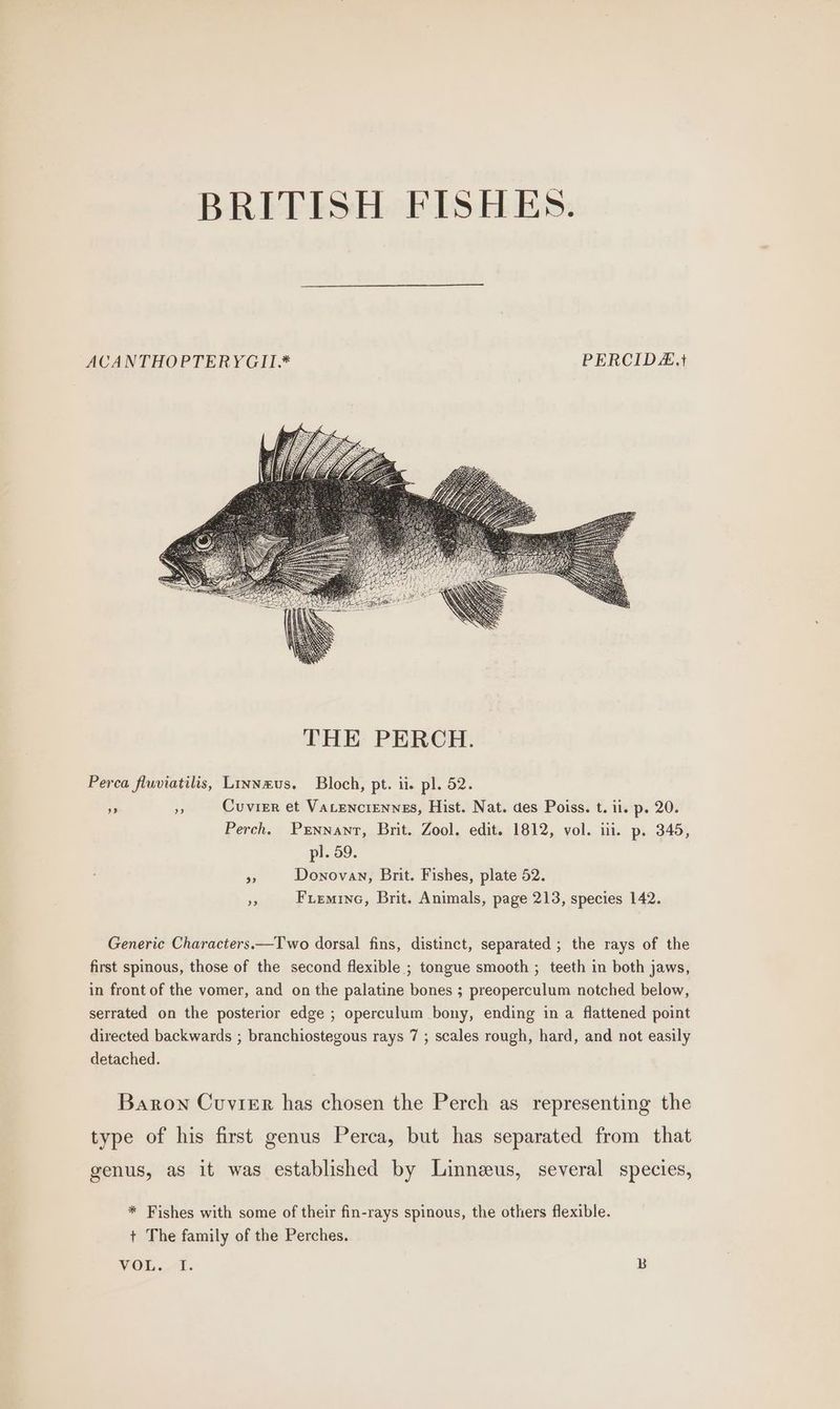 BRITISH FISHES. ACANTHOPTERYGII.* PERCID.t THE PERCH. Perca fluviatilis, Linnaeus. Bloch, pt. ii. pl. 52. rf 5 Cuvier et VaLencienngs, Hist. Nat. des Poiss. t. ii. p. 20. Perch, Prnnant, Brit. Zool. edit. 1812, vol. ili. p. 345, pl. 59. sf Donovan, Brit. Fishes, plate 52. re Fieminc, Brit. Animals, page 213, species 142. Generic Characters.—Two dorsal fins, distinct, separated ; the rays of the first spinous, those of the second flexible ; tongue smooth ; teeth in both jaws, in front of the vomer, and on the palatine bones ; preoperculum notched below, serrated on the posterior edge ; operculum bony, ending in a flattened point directed backwards ; branchiostegous rays 7 ; scales rough, hard, and not easily detached. Baron Cuvier has chosen the Perch as representing the type of his first genus Perca, but has separated from that genus, as it was established by Linnzus, several species, * Fishes with some of their fin-rays spinous, the others flexible. t The family of the Perches.