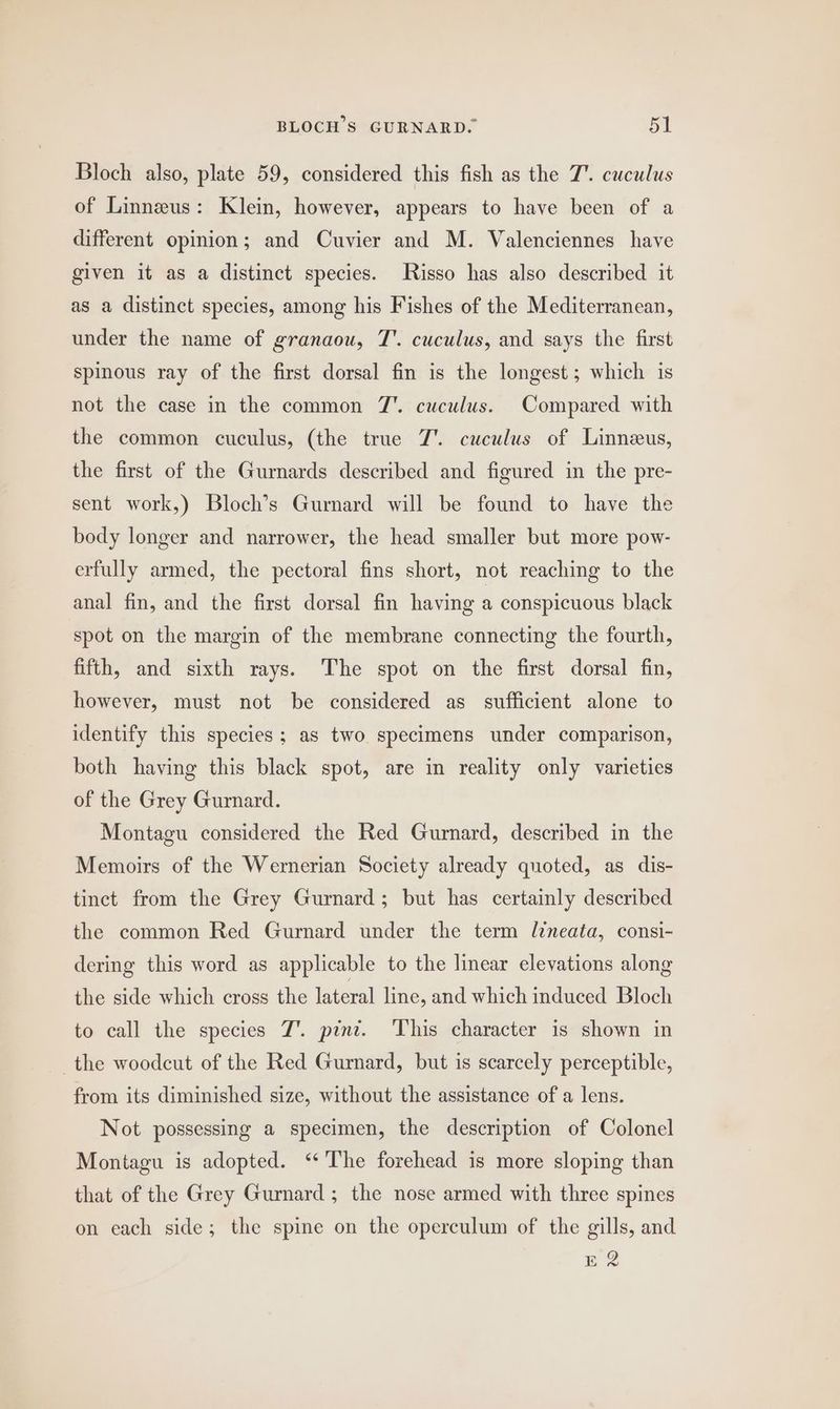 Bloch also, plate 59, considered this fish as the 7’. cuculus of Linneus: Klein, however, appears to have been of a different opinion; and Cuvier and M. Valenciennes have given it as a distinct species. Risso has also described it as a distinct species, among his Fishes of the Mediterranean, under the name of granaou, T'. cuculus, and says the first spinous ray of the first dorsal fin is the longest; which is not the case in the common 7’. cuculus. Compared with the common cuculus, (the true 7’. cuculus of Linneus, the first of the Gurnards described and figured in the pre- sent work,) Bloch’s Gurnard will be found to have the body longer and narrower, the head smaller but more pow- erfully armed, the pectoral fins short, not reaching to the anal fin, and the first dorsal fin having a conspicuous black spot on the margin of the membrane connecting the fourth, fifth, and sixth rays. The spot on the first dorsal fin, however, must not be considered as sufficient alone to identify this species; as two specimens under comparison, both having this black spot, are in reality only varieties of the Grey Gurnard. Montagu considered the Red Gurnard, described in the Memoirs of the Wernerian Society already quoted, as dis- tinct from the Grey Gurnard; but has certainly described the common Red Gurnard under the term lineata, consi- dering this word as applicable to the linear elevations along the side which cross the lateral line, and which induced Bloch to call the species 7’. pint. This character is shown in the woodcut of the Red Gurnard, but is scarcely perceptible, from its diminished size, without the assistance of a lens. Not possessing a specimen, the description of Colonel Montagu is adopted. ‘The forehead is more sloping than that of the Grey Guard ; the nose armed with three spines on each side; the spine on the operculum of the gills, and ER