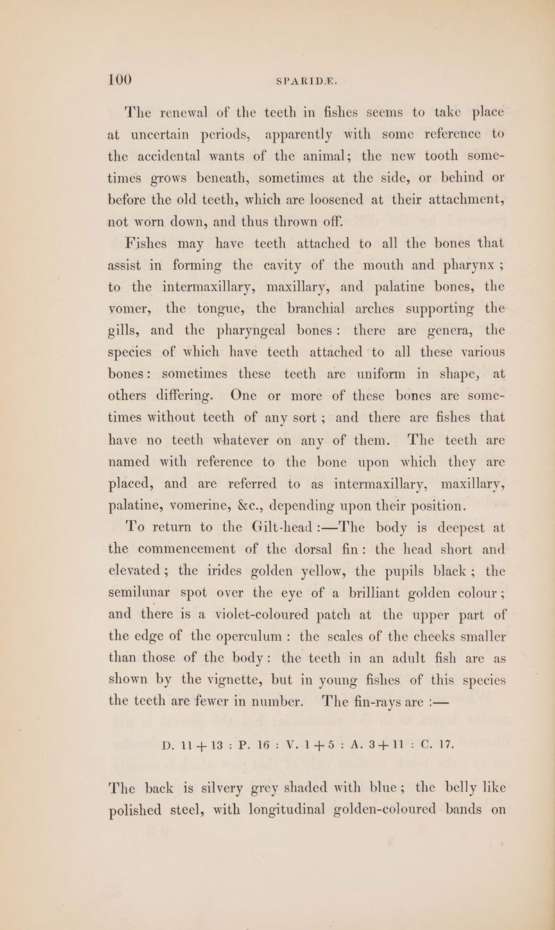 The renewal of the teeth in fishes seems to take place at uncertain periods, apparently with some reference to the accidental wants of the animal; the new tooth some- times grows beneath, sometimes at the side, or behind or before the old teeth, which are loosened at their attachment, not worn down, and thus thrown off. Fishes may have teeth attached to all the bones that assist in forming the cavity of the mouth and pharynx ; to the intermaxillary, maxillary, and palatine bones, the vomer, the tongue, the branchial arches supporting the gills, and the pharyngeal bones: there are genera, the species of which have teeth attached to all these various bones: sometimes these teeth are uniform in shape, at others differmg. One or more of these bones are some- times without teeth of any sort; and there are fishes that have no teeth whatever on any of them. The teeth are named with reference to the bone upon which they are placed, and are referred to as intermaxillary, maxillary, palatine, vomerine, &amp;c., depending upon their position. To return to the Gilt-head:—The body is deepest at the commencement of the dorsal fin: the head short and elevated; the irides golden yellow, the pupils black; the semilunar spot over the eye of a brilliant golden colour ; and there is a violet-coloured patch at the upper part of the edge of the operculum: the scales of the cheeks smaller than those of the body: the teeth in an adult fish are as shown by the vignette, but in young fishes of this species the teeth are fewer in number. The fin-rays are :— Di, 11+ 1382 PP. We V1 oY AVS ile C17, The back is silvery grey shaded with blue; the belly like polished steel, with longitudinal golden-coloured bands on