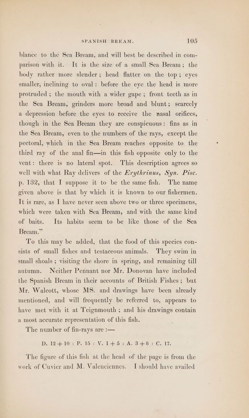 blance to the Sea Bream, and will best be described in com- parison with it. It is the size of a small Sea Bream; the body rather more slender; head flatter on the top; eyes smaller, inclining to oval: before the eye the head is more protruded ; the mouth with a wider gape; front teeth as in the Sea Bream, grinders more broad and blunt; scarcely a depression before the eyes to receive the nasal orifices, though in the Sea Bream they are conspicuous: fins as in the Sea Bream, even to the numbers of the rays, except the pectoral, which in the Sea Bream reaches opposite to the third ray of the anal fin—in this fish opposite only to the vent: there is no lateral spot. ‘This description agrees so well with what Ray delivers of the Erythrinus, Syn. Pisce. p. 132, that I suppose it to be the same fish. ‘The name given above is that by which it is known to our fishermen. It is rare, as I have never seen above two or three specimens, which were taken with Sea Bream, and with the same kind of baits. Its habits seem to be like those of the Sea Bream.” ‘T’o this may be added, that the food of this species con- sists of small fishes and testaceous animals. They swim in small shoals ; visiting the shore in spring, and remaining till autumn. Neither Pennant nor Mr. Donovan have included the Spanish Bream in their accounts of British Fishes; but Mr. Walcott, whose MS. and drawings have been already mentioned, and will frequently be referred to, appears to have met with it at Teignmouth ; and his drawings contain a most accurate representation of this fish. The number of fin-rays are :— Dy. 12 -- 10e: Prcld: Ve 1 + Ses A. 3B 2. 17. The figure of tluis fish at the head of the page is from the work of Cuvier and M. Valenciennes. I should have availed