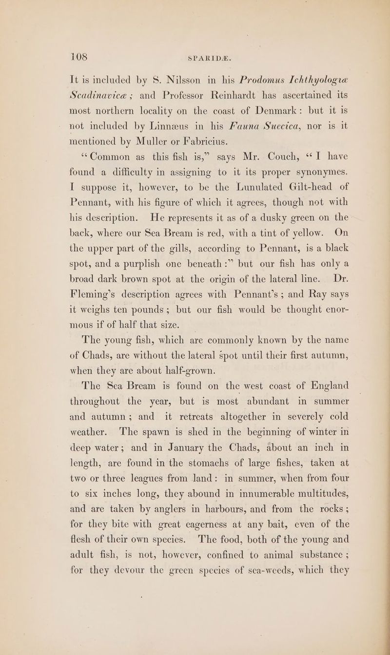 It is included by 8. Nilsson in his Prodomus Ichthyologre Scadinavice ; and Professor Reinhardt has ascertained its most northern locality on the coast of Denmark: but it is not included by Linneeus in his Fauna Suectca, nor is it mentioned by Muller or Fabricius. ‘‘Common as this fish is,” says Mr. Couch, “I have found a difficulty in assigning to it its proper synonymes. I suppose it, however, to be the Lunulated Gilt-head of Pennant, with his figure of which it agrees, though not with his description. He represents it as of a dusky green on the back, where our Sea Bream is red, with a tint of yellow. On the upper part of the gills, according to Pennant, is a black spot, and a purplish one beneath:” but our fish has only a broad dark brown spot at the origin of the lateral line. Dr. Fleming’s description agrees with Pennant’s ; and Ray says it weighs ten pounds; but our fish would be thought enor- mous if of half that size. The young fish, which are commonly known by the name of Chads, are without the lateral spot until their first autumn, when they are about half-grown. The Sea Bream is found on the west coast of England throughout the year, but is most abundant in summer and autumn; and it retreats altogether in severely cold weather. The spawn is shed in the beginning of winter in deep water; and in January the Chads, about an inch in length, are found in the stomachs of large fishes, taken at two or three leagues from Jand: in summer, when from four to six inches long, they abound in innumerable multitudes, and are taken by anglers in harbours, and from the rocks ; for they bite with great eagerness at any bait, even of the flesh of their own species. The food, both of the young and adult fish, is not, however, confined to animal substance ; for they devour the green species of sca-weeds, which they