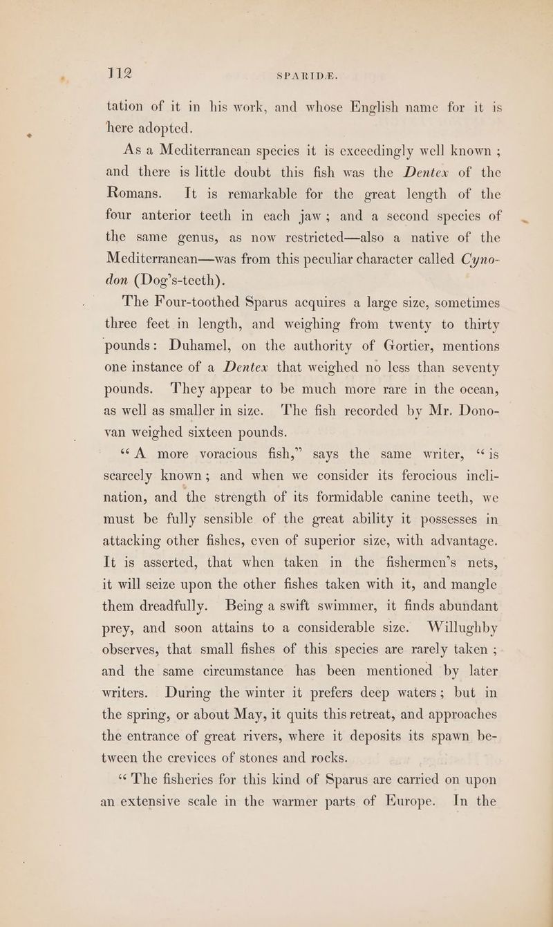 tation of it in his work, and whose English name for it is here adopted. As a Mediterranean species it is exceedingly well known ; and there is little doubt this fish was the Dentex of the Romans. It is remarkable for the great length of the four anterior teeth in each jaw; and a second species of the same genus, as now restricted—also a native of the Mediterranean—was from this peculiar character called Cyno- don (Dog’s-teeth). ‘The Four-toothed Sparus acquires a large size, sometimes three feet in length, and weighing from twenty to thirty pounds: Duhamel, on the authority of Gortier, mentions one instance of a Dentex that weighed no less than seventy pounds. They appear to be much more rare in the ocean, as well as smaller in size. ‘The fish recorded by Mr. Dono- van weighed sixteen pounds. ‘* A more voracious fish,” says the same writer, ‘is scarcely known ; and when we consider its ferocious incli- nation, and the strength of its formidable canine teeth, we must be fully sensible of the great ability it possesses in attacking other fishes, even of superior size, with advantage. It is asserted, that when taken in the fishermen’s nets, it will seize upon the other fishes taken with it, and mangle them dreadfully. Being a swift swimmer, it finds abundant prey, and soon attains to a considerable size. Willughby observes, that small fishes of this species are rarely taken ; and the same circumstance has been mentioned by later writers. During the winter it prefers deep waters; but in the spring, or about May, it quits this retreat, and approaches the entrance of great rivers, where it deposits its spawn be- tween the crevices of stones and rocks. ‘¢ The fisheries for this kind of Sparus are carried on upon an extensive scale in the warmer parts of Europe. In the ‘te,