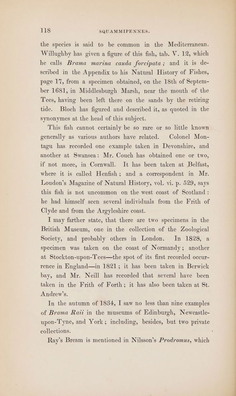 the species is said to be common in the Mediterranean. Willughby has given a figure of this fish, tab. V. 12, which he calls Brama marina cauda forcipata; and it is de- scribed in the Appendix to his Natural History of Fishes, page 17, from a specimen obtained, on the 18th of Septem- ber 1681, in Middlesburgh Marsh, near the mouth of the Tees, having been left there on the sands by the retiring tide. Bloch has figured and described it, as quoted in the synonymes at the head of this subject. This fish cannot certainly be so rare or so little known generally as various authors have related. Colonel Mon- tagu has recorded one example taken in Devonshire, and another at Swansea: Mr. Couch has obtained one or two, if not more, in Cornwall. It has been taken at Belfast, where it is called Henfish; and a correspondent in Mr. Loudon’s Magazine of Natural History, vol. vi. p. 529, says this fish is not uncommon on the west coast of Scotland : he had himself seen several individuals from the Frith of Clyde and from the Argyleshire coast. I may farther state, that there are two specimens in the British Museum, one in the collection of the Zoological Society, and probably others in London. In 1828, a specimen was taken on the coast of Normandy; another at Stockton-upon-Tees—the spot of its first recorded occur- rence in England—in 1821; it has been taken in Berwick bay, and Mr. Neill has recorded that several have been taken in the Frith of Forth; it has also been taken at St. Andrew’s. In the autumn of 1834, I saw no less than nine examples of Brama Rai in the museums of Edinburgh, Newcastle- upon-T'yne, and York; including, besides, but two private collections. Ray’s Bream is mentioned in Nilsson’s Prodromus, which