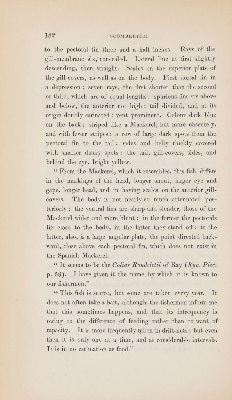 to the pectoral fin three and a half inches. Rays of the gill-membrane six, concealed. Lateral line at first slightly descending, then straight. Scales on the superior plate of the gill-covers, as well as on the body. First dorsal fin in a depression ; seven rays, the first shorter than the second or third, which are of equal lengths: spurious fins six above and below, the anterior not high: tail divided, and at its origin doubly carinated : vent prominent. Colour dark blue on the back; striped like a Mackerel, but more obscurely, and with fewer stripes: a row of large dark spots from the pectoral fin to the tail; sides and belly thickly covered with smaller dusky spots: the tail, gill-covers, sides, and behind the eye, bright yellow. “From the Mackerel, which it resembles, this fish differs in the markings of the head, longer snout, larger eye and gape, longer head, and in having scales on the anterior gill- covers. ‘The body is not nearly so much attenuated pos- teriorly ; the ventral fins are sharp arid slender, those of the Mackerel wider and more blunt: in the former the pectorals lie close to the body, in the latter they stand off; in the latter, also, is a large angular plate, the point directed back- ward, close above each pectoral fin, which does not exist in the Spanish Mackerel. ‘Tt seems to be the Colias Rondeletii of Ray (Syn. Pisce. p- 59). Ihave given it the name by which it is known to our fishermen.” ‘* This fish is scarce, but some are taken every year. It does not often take a bait, although the fishermen inform me that this sometimes happens, and that its infrequency is owing to the difference of feeding rather than to want of rapacity. It is more frequently taken in drift-nets ; but even then it is only one at a time, and at considerable intervals. It is in no estimation as food.”