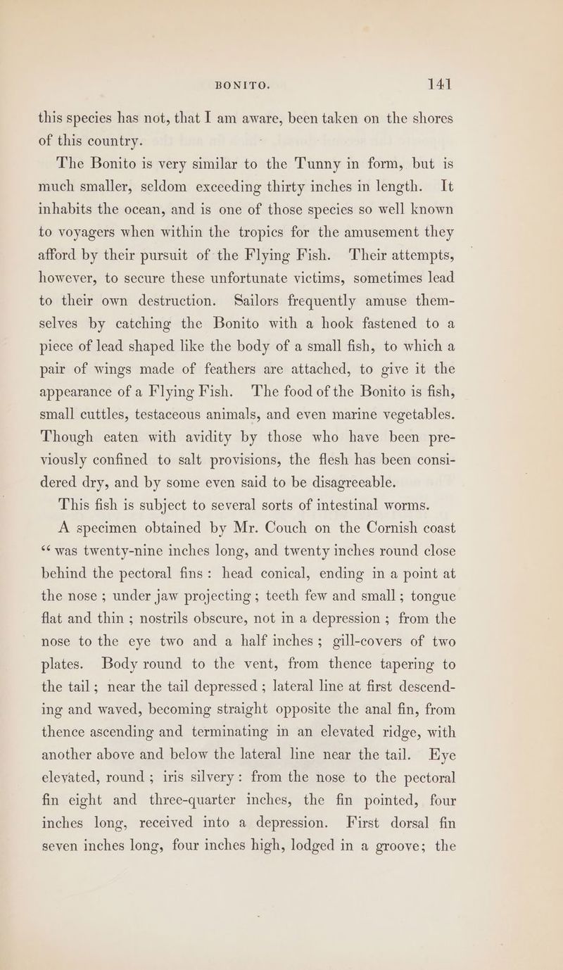 this species has not, that I am aware, been taken on the shores of this country. The Bonito is very similar to the Tunny in form, but is much smaller, seldom exceeding thirty inches in length. It imhabits the ocean, and is one of those species so well known to voyagers when within the tropics for the amusement they afford by their pursuit of the Flying Fish. Their attempts, however, to secure these unfortunate victims, sometimes lead to their own destruction. Sailors frequently amuse them- selves by catching the Bonito with a hook fastened to a piece of lead shaped like the body of a small fish, to which a pair of wings made of feathers are attached, to give it the appearance of a Flying Fish. The food of the Bonito is fish, small cuttles, testaceous animals, and even marine vegetables. Though eaten with avidity by those who have been pre- viously confined to salt provisions, the flesh has been consi- dered dry, and by some even said to be disagreeable. This fish is subject to several sorts of intestinal worms. A specimen obtained by Mr. Couch on the Cornish coast ‘was twenty-nine inches long, and twenty inches round close behind the pectoral fins: head conical, ending in a point at the nose ; under jaw projecting ; teeth few and small; tongue flat and thin ; nostrils obscure, not in a depression ; from the nose to the eye two and a half inches; gill-covers of two plates. Body round to the vent, from thence tapering to the tail; near the tail depressed ; lateral line at first descend- ing and waved, becoming straight opposite the anal fin, from thence ascending and terminating in an elevated ridge, with another above and below the lateral line near the tail. Hye elevated, round ; iris silvery: from the nose to the pectoral fin eight and three-quarter inches, the fin pointed, four inches long, received into a depression. First dorsal fin seven inches long, four inches high, lodged in a groove; the