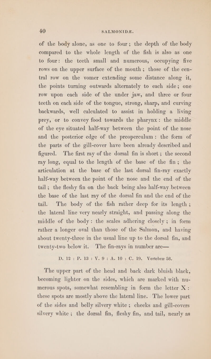 of the body alone, as one to four; the depth of the body compared to the whole length of the fish is also as one to four: the teeth small and numerous, occupying five rows on the upper surface of the mouth; those of the cen- tral row on the vomer extending some distance along it, the points turning outwards alternately to each side; one row upon each side of the under jaw, and three or four teeth on each side of the tongue, strong, sharp, and curving backwards, well calculated to assist in holding a_ living prey, or to convey food towards the pharynx: the middle of the eye situated half-way between the point of the nose and the posterior edge of the preoperculum: the form of the parts of the gill-cover have been already described and figured. ‘The first ray of the dorsal fin is short ; the second ray long, equal to the length of the base of the fin; the articulation at the base of the last dorsal fin-ray exactly half-way between the point of the nose and the end of the tail; the fleshy fin on the back being also half-way between the base of the last ray of the dorsal fin and the end of the tail. The body of the fish rather deep for its length ; the lateral line very nearly straight, and passing along the middle of the body: the scales adhering closely ; in form rather a longer oval than those of the Salmon, and having about twenty-three in the usual line up to the dorsal fin, and twenty-two below it. The fin-rays in number are— Dp, 12: P..13) = ¥.9 2 A110 =. 19: ~Vertebr] 58. The upper part of the head and back dark bluish black, becoming lighter on the sides, which are marked with nu- merous spots, somewhat resembling in form the letter X: these spots are mostly above the lateral line. The lower part of the sides and belly silvery white; cheeks and gill-covers silvery white ; the dorsal fin, fleshy fin, and tail, nearly as