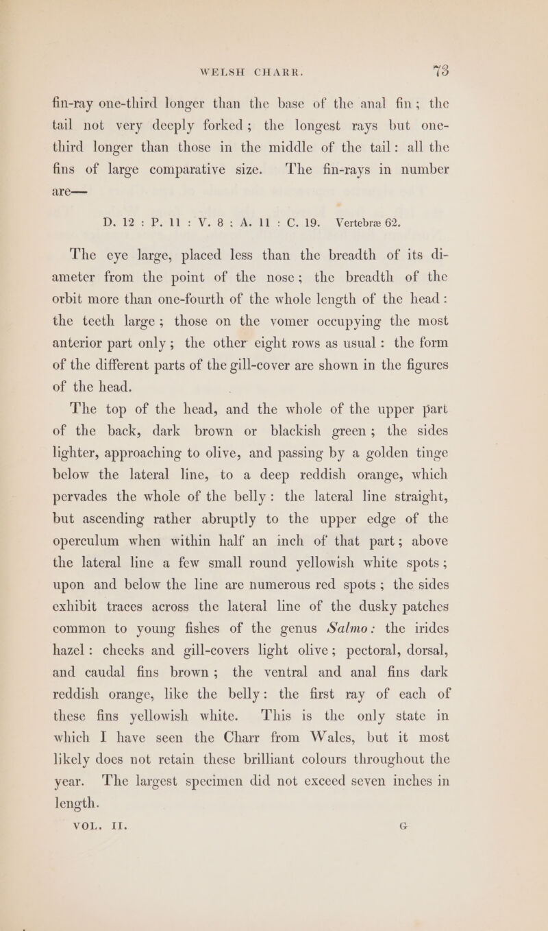fin-ray one-third longer than the base of the anal fin; the tail not very deeply forked; the longest rays but one- third longer than those in the middle of the tail: all the fins of large comparative size. ‘The fin-rays in number are—— D. 12.: PP. 11 : Vi. 8 : Aw dL: CG. 19... Vertebre 62. The eye large, placed less than the breadth of its di- ameter from the point of the nose; the breadth of the orbit more than one-fourth of the whole length of the head : the teeth large; those on the vomer occupying the most anterior part only; the other eight rows as usual: the form of the different parts of the gill-cover are shown in the figures of the head. The top of the head, and the whole of the upper part of the back, dark brown or blackish green; the sides lighter, approaching to olive, and passing by a golden tinge below the lateral line, to a deep reddish orange, which pervades the whole of the belly: the lateral line straight, but ascending rather abruptly to the upper edge of the operculum when within half an inch of that part; above the lateral line a few small round yellowish white spots ; upon and below the line are numerous red spots; the sides exhibit traces across the lateral line of the dusky patches common to young fishes of the genus Salmo: the irides hazel: cheeks and gill-covers light olive; pectoral, dorsal, and caudal fins brown; the ventral and anal fins dark reddish orange, like the belly: the first ray of each of these fins yellowish white. This is the only state in which I have seen the Charr from Wales, but it most likely does not retain these brilliant colours throughout the year. The largest specimen did not exceed seven inches in length. VOU, if. @