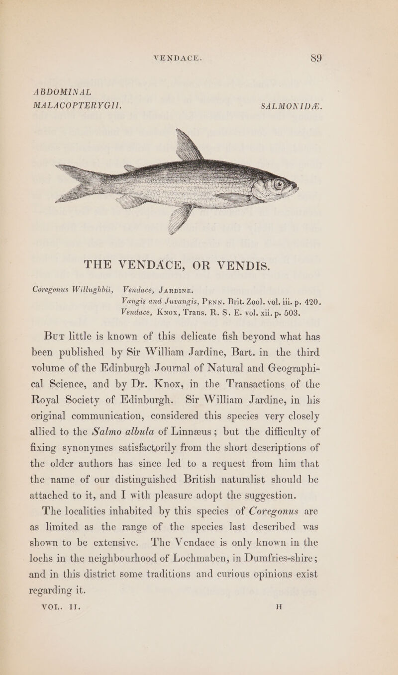 ABDOMINAL MALACOPTERYGI. SALMONID:. Coregonus Willughbii, Vendace, Jarpine. Vangis and Juvangis, Pann. Brit. Zool. vol. ili. p. 420. Vendace, Knox, Trans. R. S. E. vol. xii. p- 503. Bur little is known of this delicate fish beyond what has been published by Sir William Jardine, Bart. in the third volume of the Edinburgh Journal of Natural and Geographi- cal Science, and by Dr. Knox, in the Transactions of the Royal Society of Edinburgh. Sir William Jardine, in his original communication, considered this species very closely allied to the Salmo albula of Linneus; but the difficulty of fixing synonymes satisfactorily from the short descriptions of the older authors has since led to a request from him that the name of our distinguished British naturalist should be attached to it, and I with pleasure adopt the suggestion. The localities inhabited by this species of Coregonus are as limited as the range of the species last described was shown to be extensive. ‘The Vendace is only known in the lochs in the neighbourhood of Lochmaben, in Dumfries-shire ; and in this district some traditions and curious opinions exist regarding it. VOL. II. H