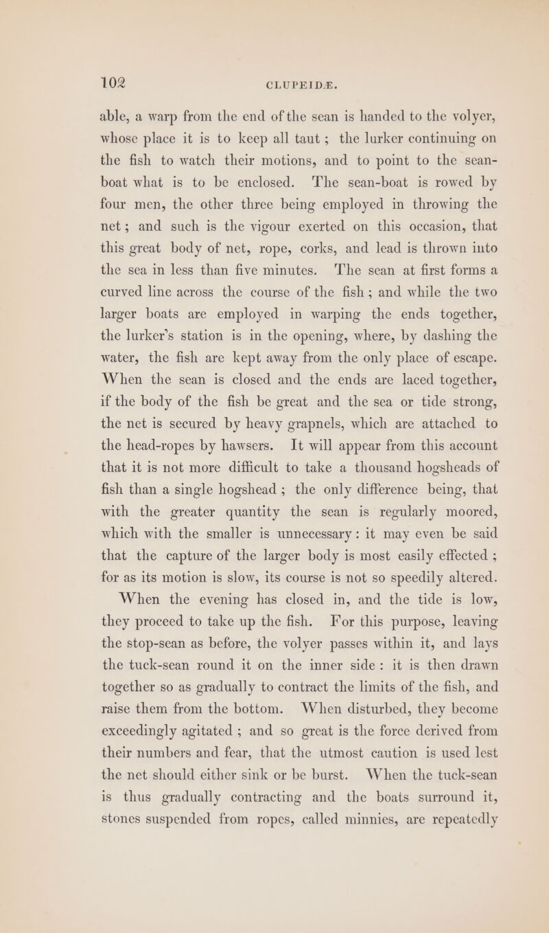 able, a warp from the end of the sean is handed to the volyer, whose place it is to keep all taut ; the lurker continuing on the fish to watch their motions, and to point to the sean- boat what is to be enclosed. The sean-boat is rowed by four men, the other three being employed in throwing the net; and such is the vigour exerted on this occasion, that this great body of net, rope, corks, and lead is thrown into the sea in less than five minutes. The sean at first forms a curved line across the course of the fish; and while the two larger boats are employed in warping the ends together, the lurker’s station is in the opening, where, by dashing the water, the fish are kept away from the only place of escape. When the sean is closed and the ends are laced together, if the body of the fish be great and the sea or tide strong, the net is secured by heavy grapnels, which are attached to the head-ropes by hawsers. It will appear from this account that it is not more difficult to take a thousand hogsheads of fish than a single hogshead ; the only difference being, that with the greater quantity the sean is regularly moored, which with the smaller is unnecessary: it may even be said that the capture of the larger body is most easily effected ; for as its motion is slow, its course is not so speedily altered. When the evening has closed in, and the tide is low, they proceed to take up the fish. For this purpose, leaving the stop-sean as before, the volyer passes within it, and lays the tuck-sean round it on the inner side: it is then drawn together so as gradually to contract the limits of the fish, and raise them from the bottom. When disturbed, they become exceedingly agitated ; and so great is the force derived from their numbers and fear, that the utmost caution is used lest the net should either sink or be burst. When the tuck-sean is thus gradually contracting and the boats surround it, stones suspended from ropes, called minnies, are repeatedly