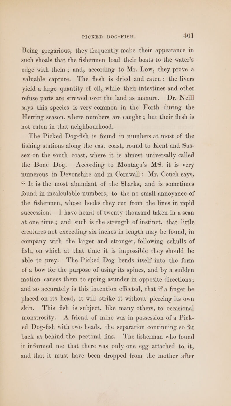 PICKED DOG-FISH. 4()] Being gregarious, they frequently make their appearance in such shoals that the fishermen load their boats to the water’s edge with them; and, according to Mr. Low, they prove a valuable capture. The flesh is dried and eaten: the livers yield a large quantity of oil, while their intestines and other refuse parts are strewed over the land as manure. Dr. Neill says this species is very common in the Forth during the Herring season, where numbers are caught ; but their flesh is not eaten in that neighbourhood. The Picked Dog-fish is found in numbers at most of the fishing stations along the east coast, round to Kent and Sus- sex on the south coast, where it is almost universally called the Bone Dog. According to Montagu’s MS. it is very numerous in Devonshire and in Cornwall: Mr. Couch says, ‘¢ It is the most abundant of the Sharks, and is sometimes found in incalculable numbers, to the no small annoyance of the fishermen, whose hooks they cut from the lines in rapid succession. I have heard of twenty thousand taken in a sean at one time; and such is the strength of instinct, that little creatures not exceeding six inches in length may be found, in company with the larger and stronger, following schulls of fish, on which at that time it is impossible they should be able to prey. ‘The Picked Dog bends itself into the form of a bow for the purpose of using its spines, and by a sudden motion causes them to spring asunder in opposite directions; and so accurately is this intention effected, that if a finger be placed on its head, it will strike it without piercing its own skin. This fish is subject, like many others, to occasional monstrosity. A friend of mine was in possession of a Pick- ed Dog-fish with two heads, the separation continuing so far back as behind the pectoral fins. The fisherman who found it informed me that there was only one egg attached to it, and that it must have been dropped from the mother after