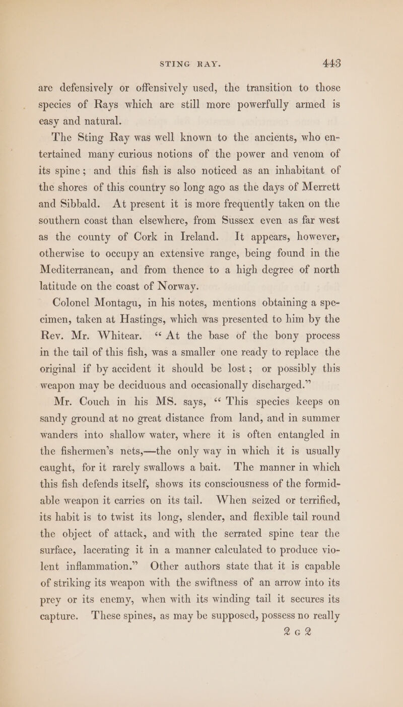 are defensively or offensively used, the transition to those species of Rays which are still more powerfully armed is easy and natural. The Sting Ray was well known to the ancients, who en- tertained many curious notions of the power and venom of its spine; and this fish is also noticed as an inhabitant of the shores of this country so long ago as the days of Merrett and Sibbald. At present it is more frequently taken on the southern coast than elsewhere, from Sussex even as far west as the county of Cork in Ireland. It appears, however, otherwise to occupy an extensive range, being found in the Mediterranean, and from thence to a high degree of north latitude on the coast of Norway. Colonel Montagu, in his notes, mentions obtaining a spe- cimen, taken at Hastings, which was presented to him by the Rev. Mr. Whitear. “ At the base of the bony process in the tail of this fish, was a smaller one ready to replace the original if by accident it should be lost; or possibly this weapon may be deciduous and occasionally discharged.” Mr. Couch in his MS. says, ** This species keeps on sandy ground at no great distance from land, and in summer wanders into shallow water, where it is often entangled in the fishermen’s nets,—the only way in which it is usually caught, for it rarely swallows a bait. ‘The manner in which this fish defends itself, shows its consciousness of the formid- able weapon it carries on its tail. When seized or terrified, its habit is to twist its long, slender, and flexible tail round the object of attack, and with the serrated spine tear the surface, lacerating it in a manner calculated to produce vio- lent inflammation.” Other authors state that it is capable of striking its weapon with the swiftness of an arrow into its prey or its enemy, when with its winding tail it secures its capture. These spines, as may be supposed, possess no really 2GR