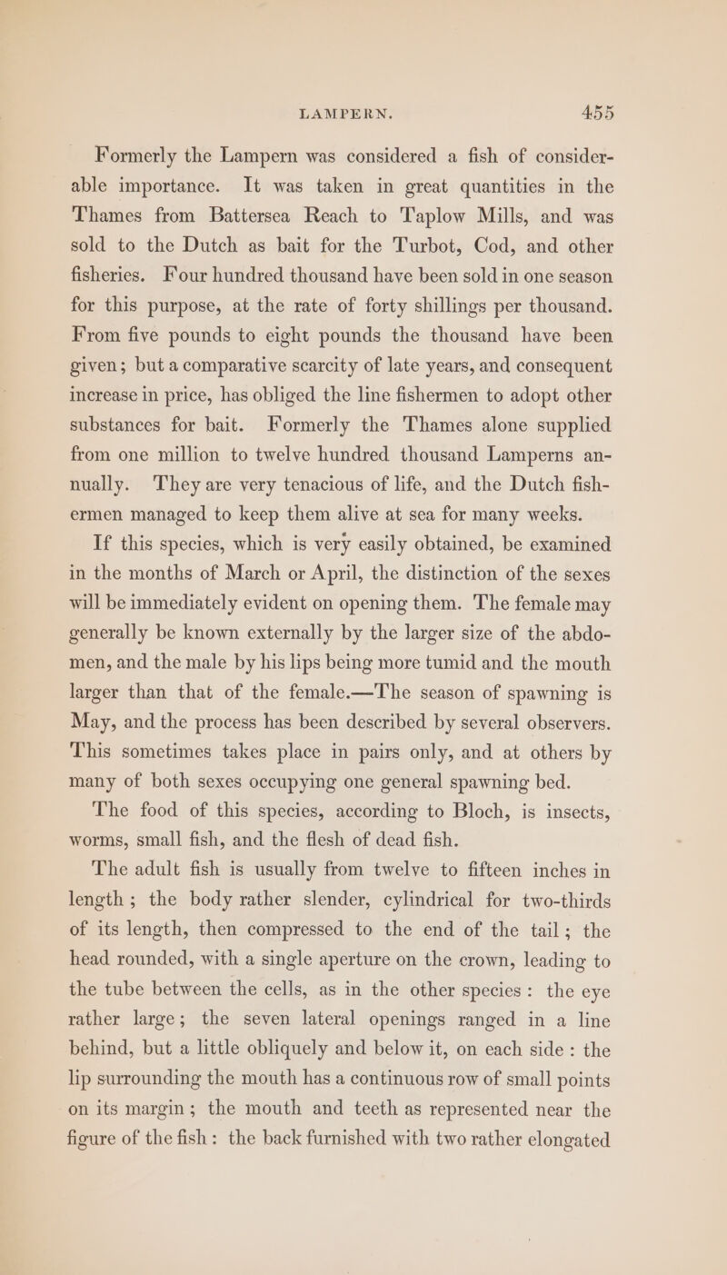 LAMPERN. ABS Formerly the Lampern was considered a fish of consider- able importance. It was taken in great quantities in the Thames from Battersea Reach to Taplow Mills, and was sold to the Dutch as bait for the Turbot, Cod, and other fisheries. Four hundred thousand have been sold in one season for this purpose, at the rate of forty shillings per thousand. From five pounds to eight pounds the thousand have been given; but a comparative scarcity of late years, and consequent increase in price, has obliged the line fishermen to adopt other substances for bait. Formerly the Thames alone supplied from one million to twelve hundred thousand Lamperns an- nually. They are very tenacious of life, and the Dutch fish- ermen managed to keep them alive at sea for many weeks. If this species, which is very easily obtained, be examined in the months of March or April, the distinction of the sexes will be immediately evident on opening them. The female may generally be known externally by the larger size of the abdo- men, and the male by his lips being more tumid and the mouth larger than that of the female-——The season of spawning is May, and the process has been described by several observers. This sometimes takes place in pairs only, and at others by many of both sexes occupying one general spawning bed. The food of this species, according to Bloch, is insects, worms, small fish, and the flesh of dead fish. The adult fish is usually from twelve to fifteen inches in length ; the body rather slender, cylindrical for two-thirds of its length, then compressed to the end of the tail; the head rounded, with a single aperture on the crown, leading to the tube between the cells, as in the other species: the eye rather large; the seven lateral openings ranged in a line behind, but a little obliquely and below it, on each side: the lip surrounding the mouth has a continuous row of small points on its margin; the mouth and teeth as represented near the figure of the fish: the back furnished with two rather elongated