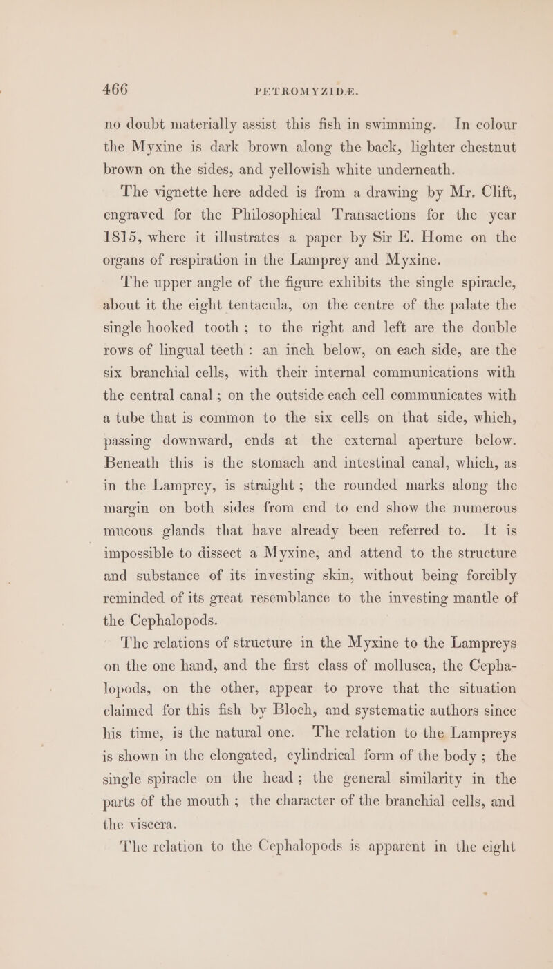 no doubt materially assist this fish in swimming. In colour the Myxine is dark brown along the back, lighter chestnut brown on the sides, and yellowish white underneath. The vignette here added is from a drawing by Mr. Clift, engraved for the Philosophical Transactions for the year 1815, where it illustrates a paper by Sir E. Home on the organs of respiration in the Lamprey and Myxine. The upper angle of the figure exhibits the single spiracle, about it the eight tentacula, on the centre of the palate the single hooked tooth; to the right and left are the double rows of lingual teeth: an inch below, on each side, are the six branchial cells, with their internal communications with the central canal ; on the outside each cell communicates with a tube that is common to the six cells on that side, which, passing downward, ends at the external aperture below. Beneath this is the stomach and intestinal canal, which, as in the Lamprey, is straight; the rounded marks along the margin on both sides from end to end show the numerous mucous glands that have already been referred to. It is | impossible to dissect a Myxine, and attend to the structure and substance of its investing skin, without being forcibly reminded of its great resemblance to the investing mantle of the Cephalopods. The relations of structure in the Myxine to the Lampreys on the one hand, and the first class of mollusca, the Cepha- lopods, on the other, appear to prove that the situation claimed for this fish by Bloch, and systematic authors since his time, is the natural one. The relation to the Lampreys is shown in the elongated, cylindrical form of the body ; the single spiracle on the head; the general similarity in the parts of the mouth ; the character of the branchial cells, and the viscera. The relation to the Cephalopods is apparent in the eight