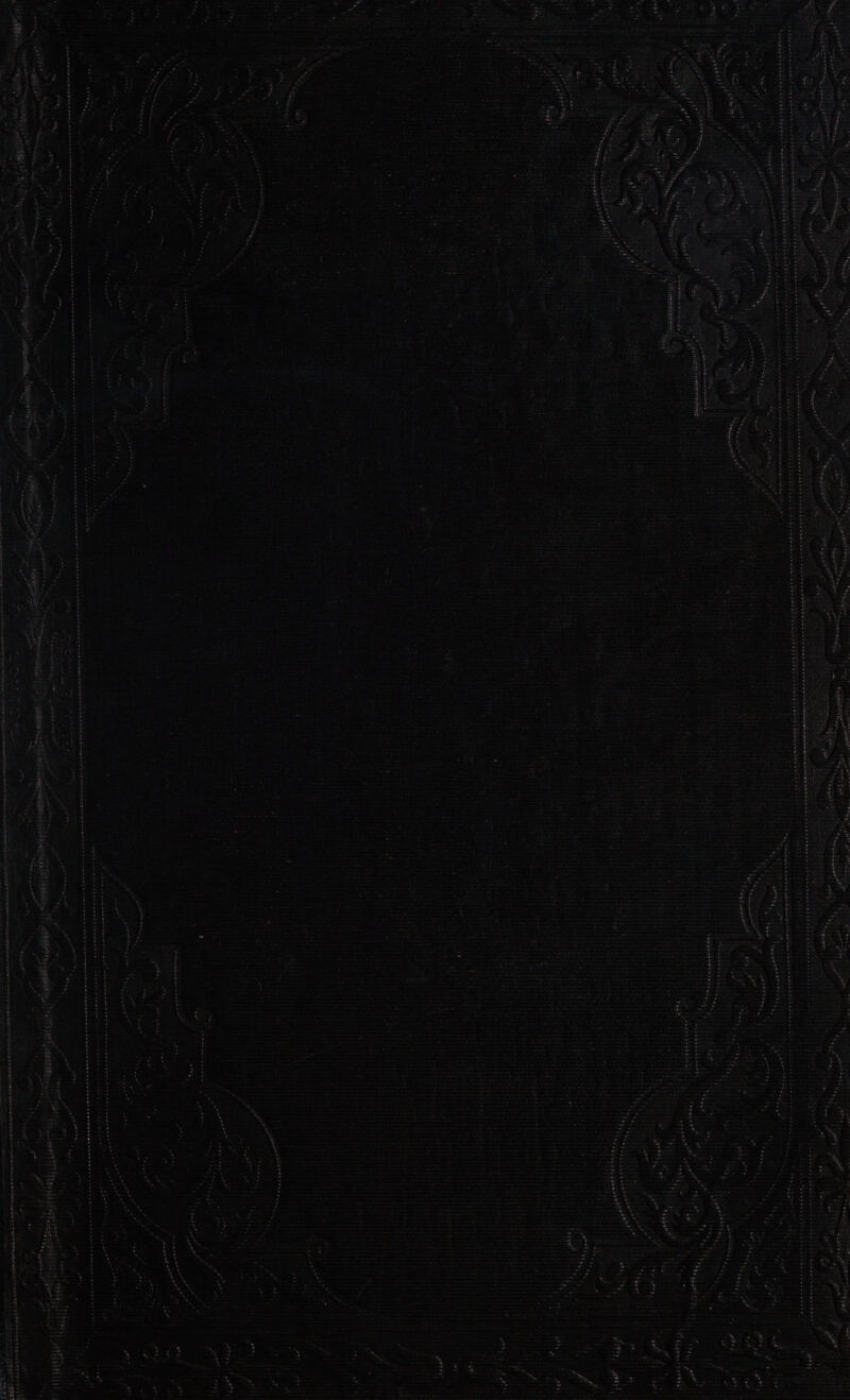 aed Se eee Us eeti ; ee Rach 8 Saint Aes rs ' ie eve ' reat aoe — sis fnaaanae hh , bree ; ; ee Fre otEsstee iret Aly B: : aii (aphijs (tee pes 1 ay hd eae i } J 4 iM Fatt beget ey Aisi ae ; ME evens Eerie SAW ew Ny ae es ‘ “etm Paks 1) a &lt;&lt; _— ates ool ee gb eeevEg ’ i a a ne er ere eed [Oi ee een rem ee re ee iL a Fen w eed ewewne oe Be Sic ep i Ow oars ai Rn NNER YS Ne SAYIN LYE Te TTT Sere eee rye eee ear ew Sree perme = eRe eet S PON ITO OTT NTN eT 7 SOO aaa Tod id pbbtsebthhs aebaeieie eee eee “EDT SeaRUST og eNOS OO