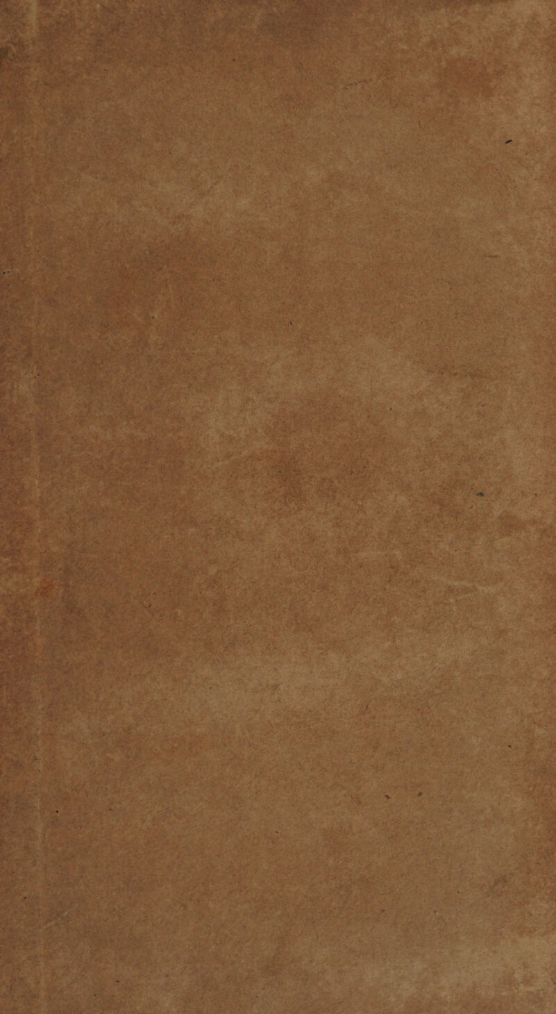 eis