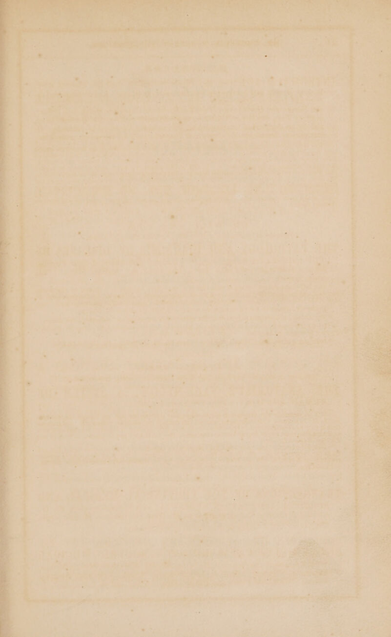 an? ae bo f | ‘i ‘ y : b, : tab . PY a, i if Fa ,