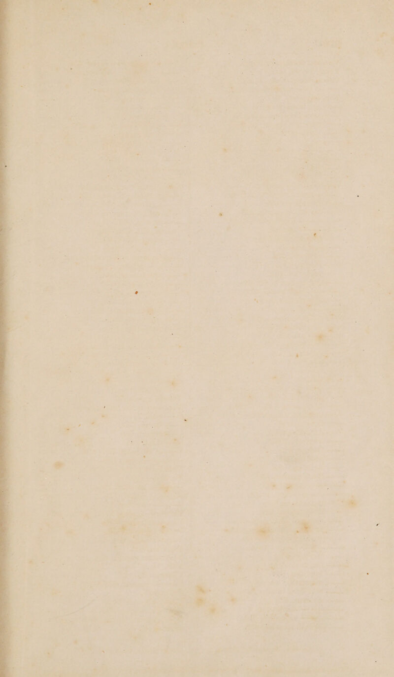 é - > r ’ bs . ay be . . - y . ugh y 2, + *