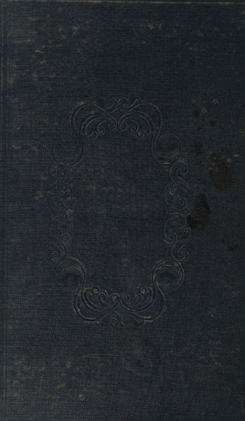 i Rae Stata Ae MES ed OR ae ere ehiace eBay Ore ree page Ain piste a ae EEE be per pepe rene. a Te en 4 : ; me et ae Ce aers Norse gr a ‘ : wis Whats Pee iat ate J . Bee £ ; Sap is by ro A Tse Fe tal Ia vale ee se a avs eae Me aS ielg mn Nosh eee yee Re ee ote Ef ast Ustien IISA bis fed # Ahr ixp ey Oh: ara are ot As Me © AN ey a nai ee ey x ‘s ee ei te Pee aneity yA Pe 3 =2 = ao es ae