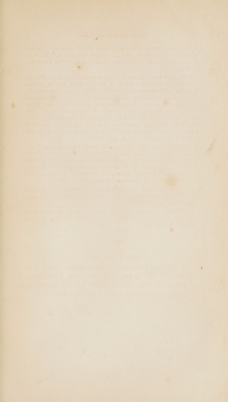 ; ar -~ La an) : CA f . i m “d ir, id : ; ae a, ; A ; a * | La, . A Oey: Wins ‘ a : : i. est? 20k RAG) 42 Seth oe * are &gt; ‘4 a ay ie wea, hos tam ud aft ny: i i = i eee. cae ahi Joaetahey SOE OMe bine oe mig? cides Lj Me 7 yy, ars Ore 2 Lae - he a mrsretioe f sail as tage eyes PS eat v5; iad isd a4 : , . Y mi Lei. = 7 Ce, = 4 21% ‘ ° F rag &gt;, &gt; ae i / bee a P (oe ® ; - ; “ea % ‘el 4 oie lease 2 oy : * . a ) a es masa 10 at cs ety hae 5 i Sy PEST a : heat avi Le Be Hy { ns 8 ie _S= ; ere it bellainr aes ; ; = in ot ’ es oe ‘ n é eas a teak, A rng ye AS Rs Bhi b8) Hi q te. by ° “  ai iy - i an 7 wie ee sy a eke ene : , : 7 a (Mis eh ty ALY SRST TES OTA ie CW Saree ¥. a *\{ Lb? co te ee ; er Ns RAT ES ee eee oF, re ae! A it ° &lt;= aanel PPtaeT BYPASS OF Te WSR CES by Es Saas Oe, eee oar see HG ae “a : af 7 . . a : 7 : ; a Saya piri! ai, Att; ae f Te wy. o ema tt af ” f ‘ fi) f ¥, tay Ete 5 -{ f i . cay tt acy af 2 i eS ries) aon } + ivi Lied 4 5 my 4 ri) A ee ed boot Pia} f - , sas n ay y t hee i ini ae ~ es 1 ae ™ J = i q le R i } , - vi eee , “ sa : t ; - oa a 2 ig ‘Was Sarah eer = eehe 4 “it Fy M4 2 es lect ' a meéatyer. “YS Fi s a? ' * &gt;. ae ee al, ‘ react : 7 F J F a ‘ rae 5 : be | 4 ] &amp; : i a : r = - a, 7 é ; ‘ % 7 ret nr ‘ ' ; bs , aot &gt; Bead Oa vA vi ra ' : . \ - t - a re | : vf oom he a, a}. ’ a i ; f : Pt ‘ ‘ = ep. ’ i. 0 4 é 3 q i . * &gt;, = ; , A 350 nt ; . (x : ; och an ; , ‘ ) oe) o% VAL a i Oe) ig a ee y E y ‘ - Rs ‘ . ' Pe ee + | Py aes 1 i - ; ee. s r 4 h x .  i 4 ‘ Dik a ‘ ‘ ne ig! ms Sea : &gt; 9 i Lies ~] , . i - - rf ‘ of : i ! * a ee j ! ; - bo - _ - 7 =, ni ‘  Pr ‘ Cis a * - - a in a se co ee . { A 3 i ; ) j . x c Hea : } : ¥ &gt; 3 i] a = 1. \ ¢ i A) . ; \ i os AG ‘. j 1: % ; r : Pi i SS - 5 a ; al . d a -_ 2 bee * « : - ‘ “* avi j , . , s . . . _ z ¥ , PR . é , i * e ’ F e . - a b y 1 i j A _ - ‘ 7 - ae 5 J 7 ( “ i , i &gt; - - 2 4 - ae * wn «* 4) ve ‘ ica 0