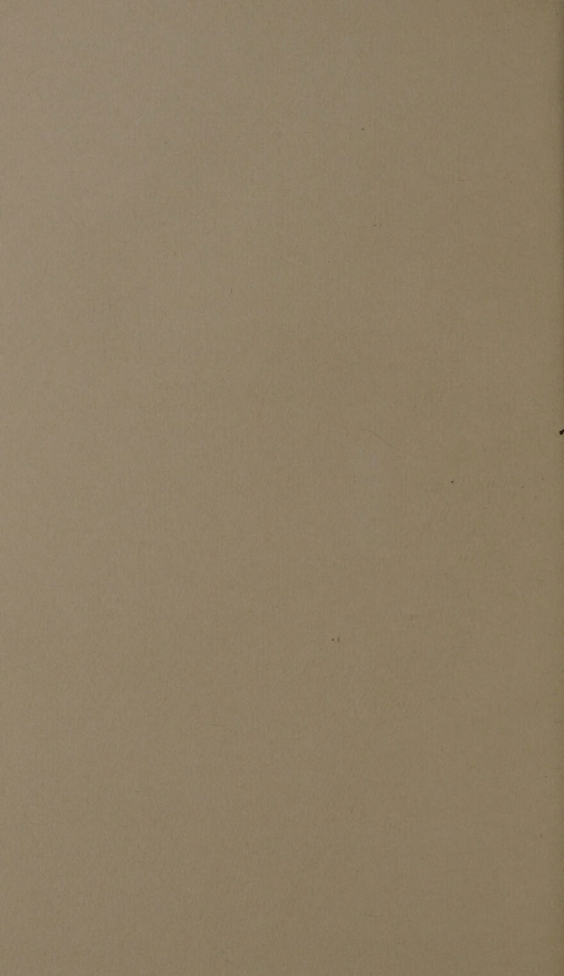 pa tie AEs . 4 Prey 4 ( Pl iz J . Pai, Meee. fall SH tile . u feywas T¢ s ' 4 os er hat oft'e ; eo ‘ ¢ Cnn : ‘ ¥ 4 : ’ i Ube Hy . t ’ : ial ‘ i