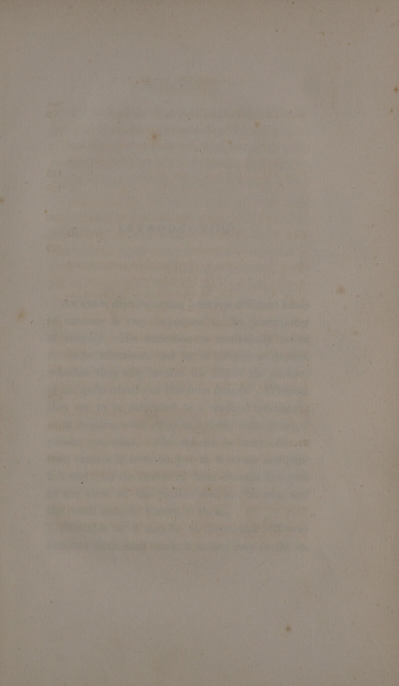 niet er eine ' a . id d : a es GaN ed ee Mn ar ‘ihealin, as ) atc) te co ed a oat: tne) es i Fy M at 6 fi sa ae ih we he i beans ‘ ea et i | a wen ee dias iif i i a fae { |. jalan: ae Ae ites ee Mae a senaeen ning oY rs . hath ane. i i? neh a ote : ni ‘ is 4) ah