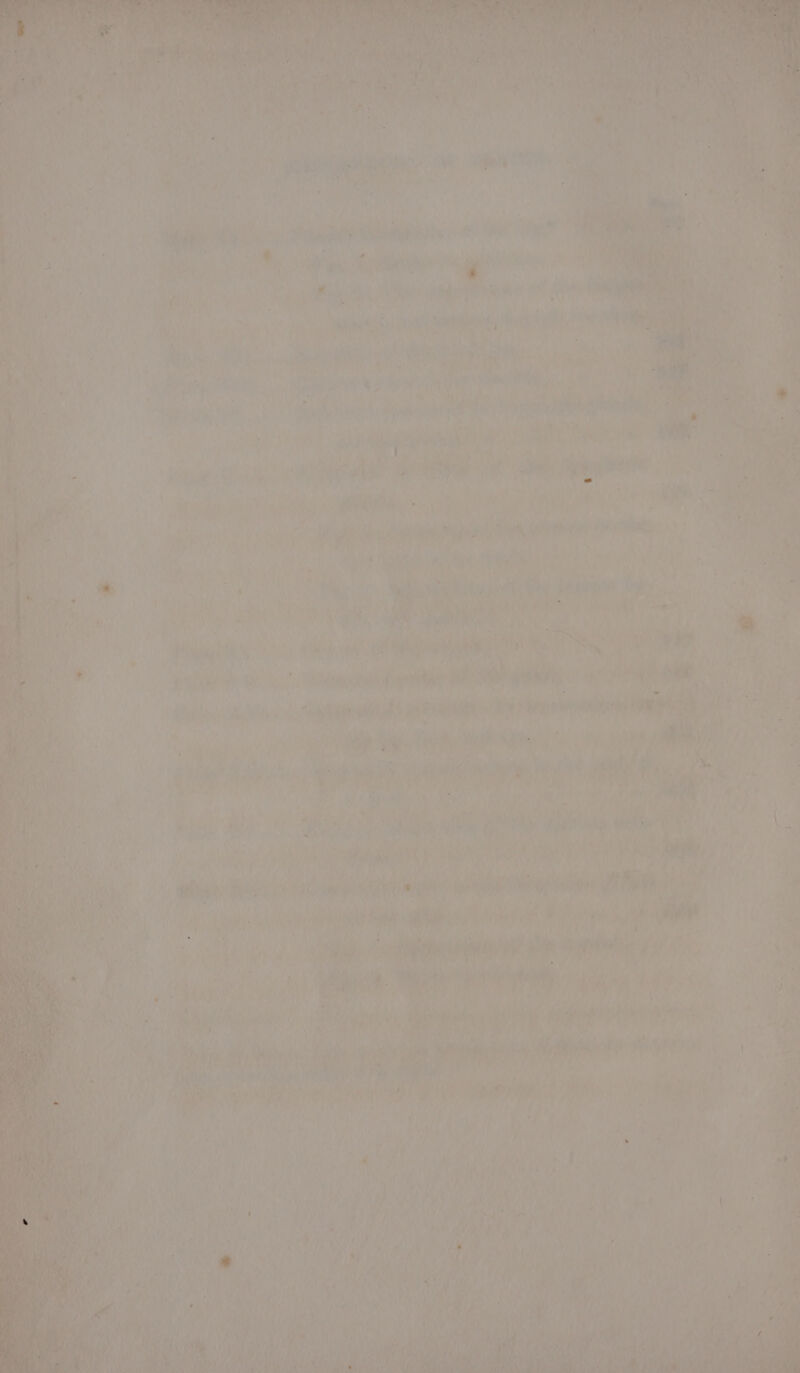 f ae t ah) . Ae 2 > ‘ ee A rid a a - “9 : aM ,) 5 yi ; “ u te rs ) | / * i { Ly pe sigs ist ae i i 3 re} ; piety yy id —— 4 + we { ‘ y es ' Pee LPTs 5 i : r ’ ‘ j i ’ 4 + ; Ls 7 ] th i i, yale DS a eee re te ‘ , Nig \ hae ay, 9 i Dial en mA ah gs WT ha ie Fi Pe aii ae Ble i) See ; ’ pla? Lees tS i ton 7 ae dl 1 YS Le een 2 ’ y “Al aet ei a aire vite a a ye * pyar TAINS NY oP ho +4 if a : 7 i ane ’ ‘ - ba s . ’ ‘ . a é : 4  = , P 4 ‘ 7 4 a) a! *\\ + ; ; ra 7a oie Teer hes) * iy ‘ iy ' wa it i ; - ae ie eee Ry zy % P 5 Jinx ; pee 4 ue mm ie y # ert s agi D : ht 7 ‘ ; Hi. SRS ii RCN ea MOR HD ke sa Or ori # a v \ isa hy a ny de mes a i ome 2 rT ve fis # iM ave fale ‘ <a, pam! Shed hat Ae | ie * att , “ “ie OS te uy i ae re { i / Yue ; ny by a! at J } ; py vv, . boa Aint tinkdee wk Wire 7 \ ¥. : a ‘ : . | , 4 ey mh yee . A elt ie : wy cae A Ay iach 7 Lor : Ly py —< ‘ rom c Wo) re ede, 4 wins As vi srs asin ms st opis Gi dR « bas: pa) eae 5 Wee, ay a Mian