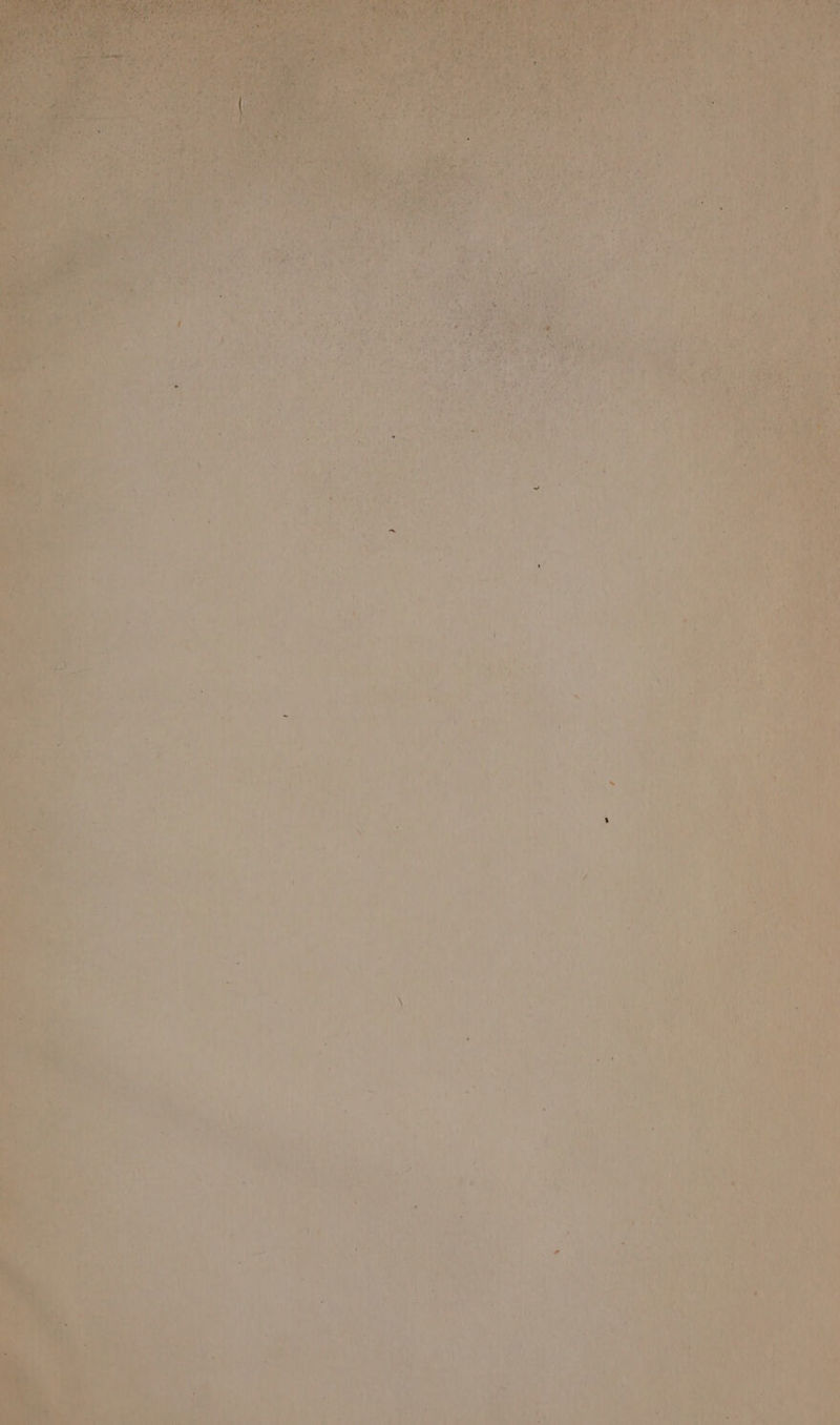 ‘aap ¥ agence Blog Sia al