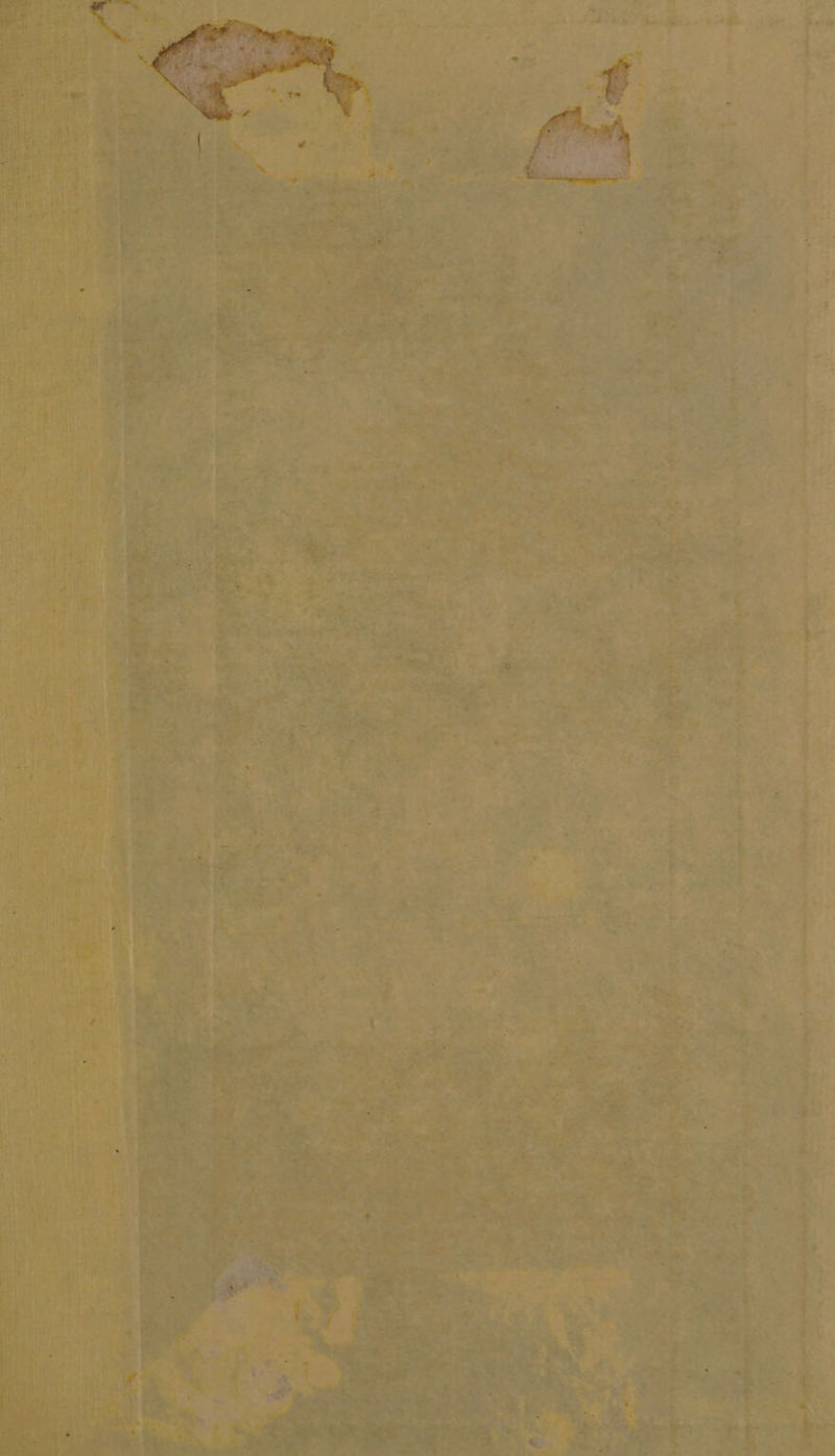 . * a «) hits - + 3 fo cia 0% BD ~ 3 “pats © nl, & ‘~) : . | ew te “ Ais Be ’ net tenis sgl 4 sete fot ford hetae™ ee 4 ™ —: * : ‘ “ote oe ed ue pts ot, sm a BPA oN. ean ae egicnatineme 2M. ae i a hy? aye *: “ A oe Med at “aa - <<. i Ow Ss n ‘oy Sher nf ~ - - nai Vara * ai