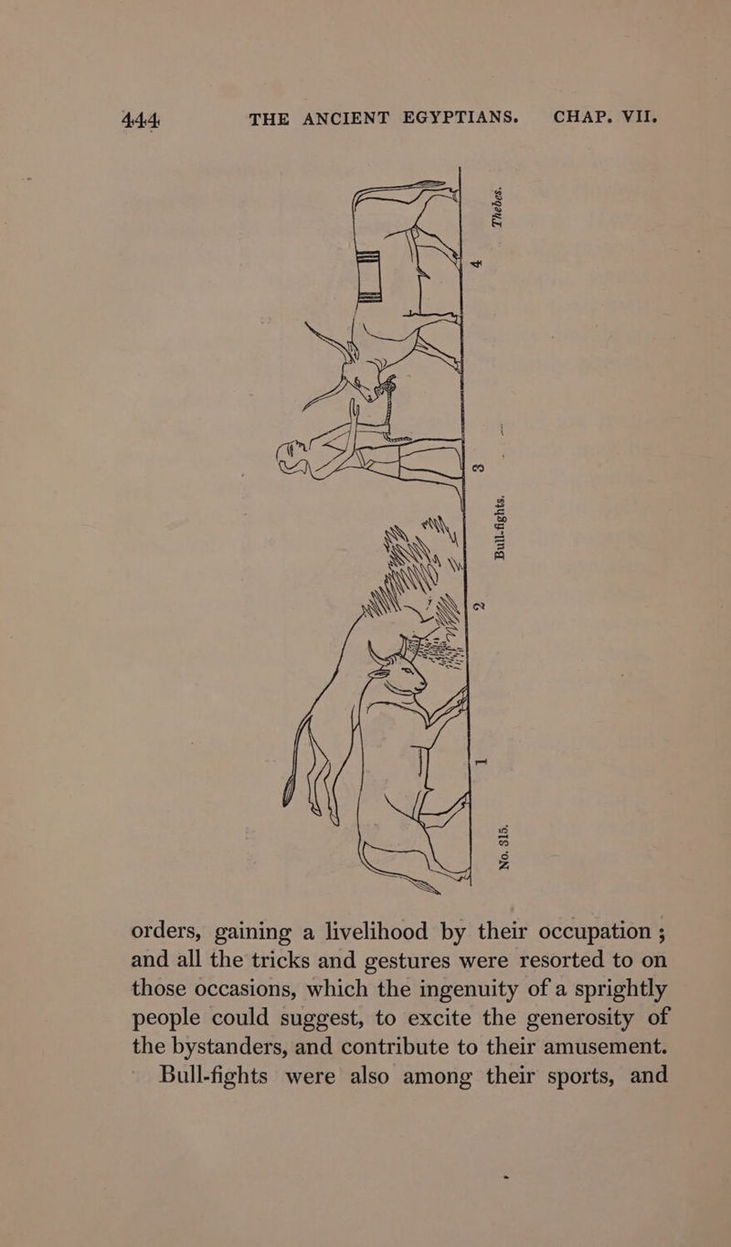 4 V \ av ! Thebes. Bull-fights. No. 315, orders, gaining a livelihood by their occupation ; and all the tricks and gestures were resorted to on those occasions, which the ingenuity of a sprightly people could suggest, to excite the generosity of the bystanders, and contribute to their amusement. Bull-fights were also among their sports, and