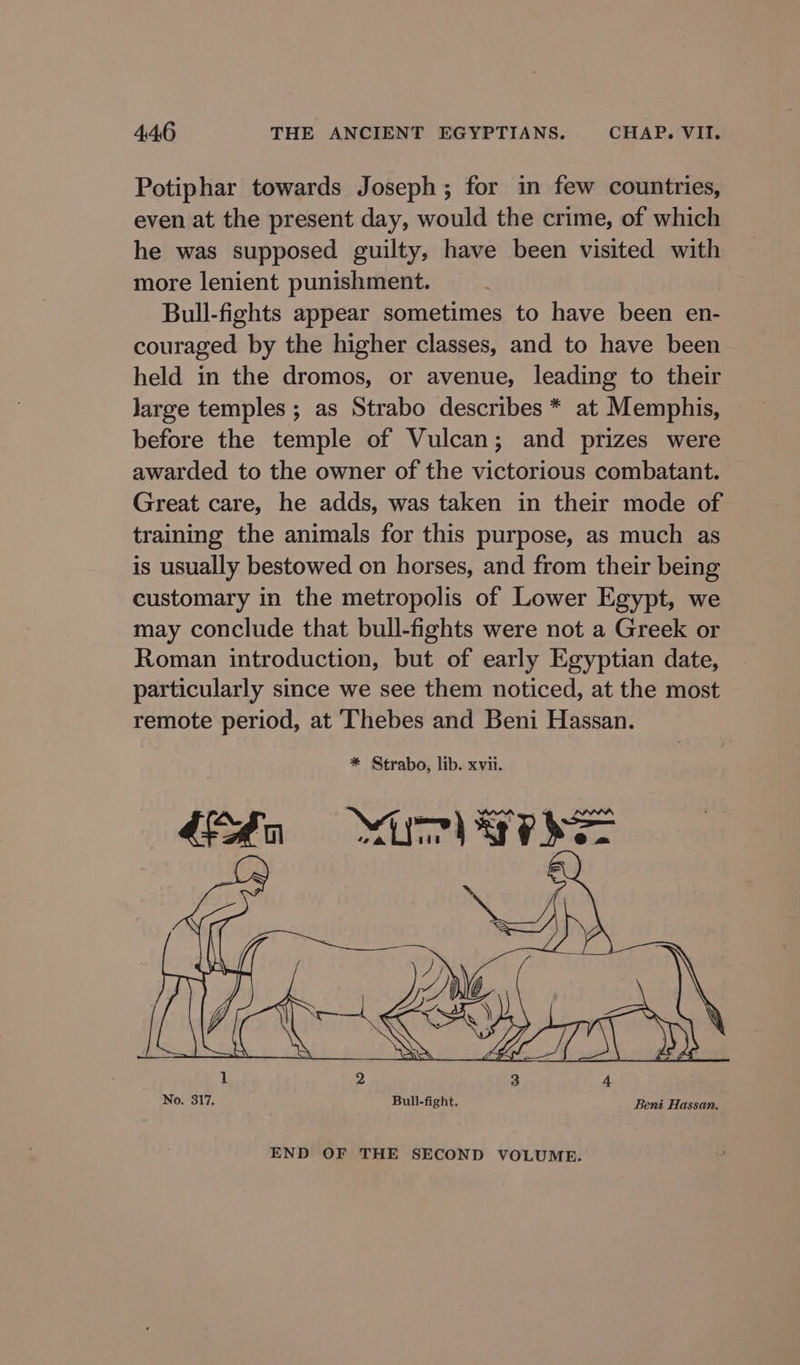 Potiphar towards Joseph; for in few countries, even at the present day, would the crime, of which he was supposed guilty, have been visited with more lenient punishment. Bull-fights appear sometimes to have been en- couraged by the higher classes, and to have been held in the dromos, or avenue, leading to their large temples; as Strabo describes * at Memphis, before the temple of Vulcan; and prizes were awarded to the owner of the victorious combatant. Great care, he adds, was taken in their mode of training the animals for this purpose, as much as is usually bestowed on horses, and from their being customary in the metropolis of Lower Egypt, we may conclude that bull-fights were not a Greek or Roman introduction, but of early Egyptian date, particularly since we see them noticed, at the most remote period, at Thebes and Beni Hassan. * Strabo, lib. xvii. fn Nae Vee C2 rie a. No. Pe Bull-fight. Beni Hassan. END OF THE SECOND VOLUME.